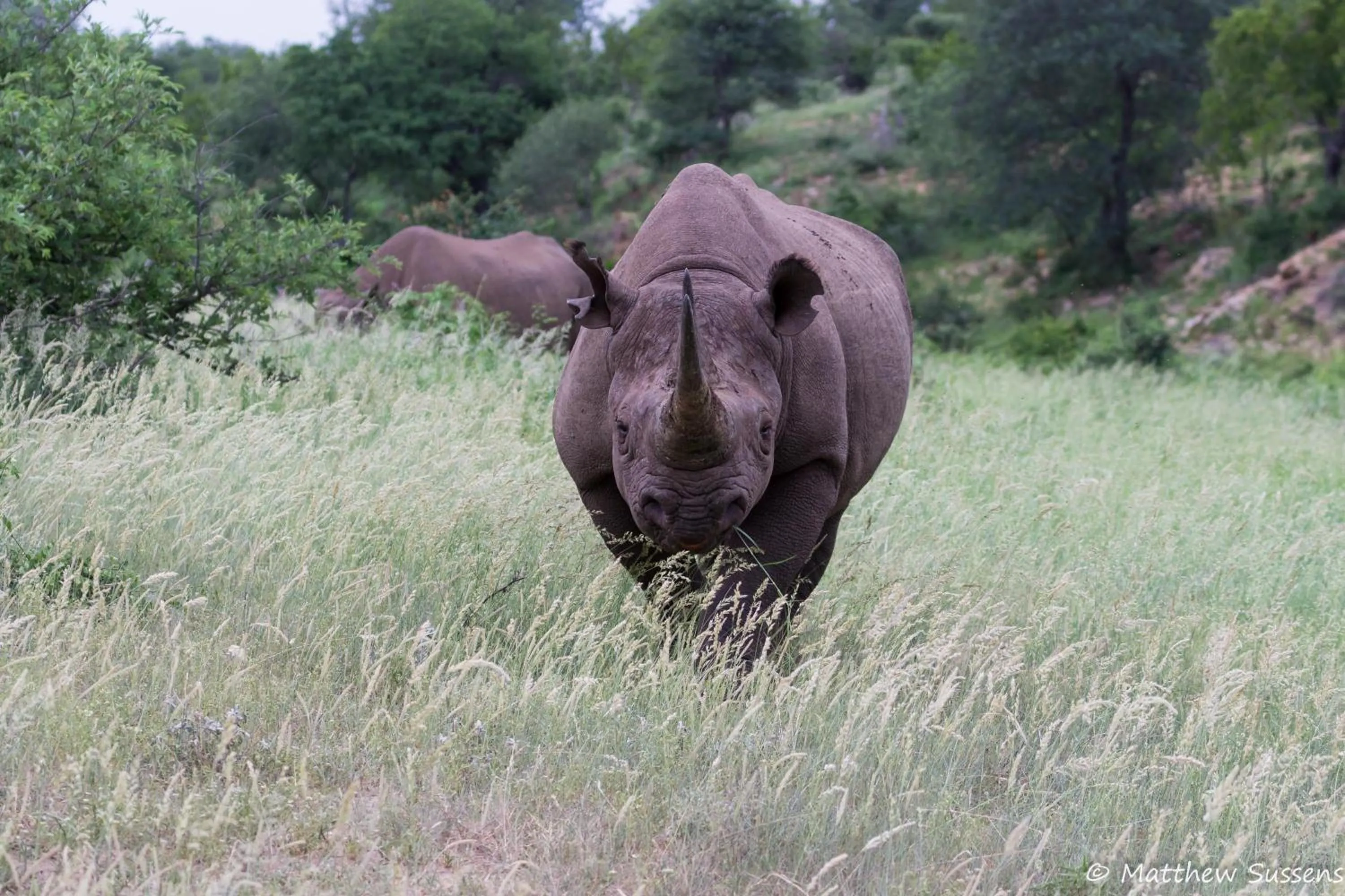 Activities in Sausage Tree Safari Camp