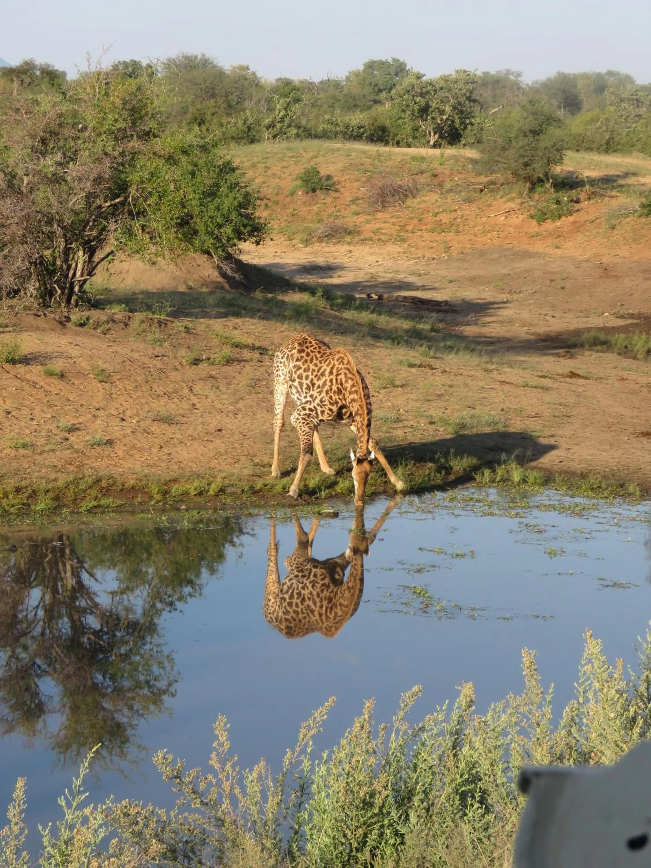 Activities in Sausage Tree Safari Camp