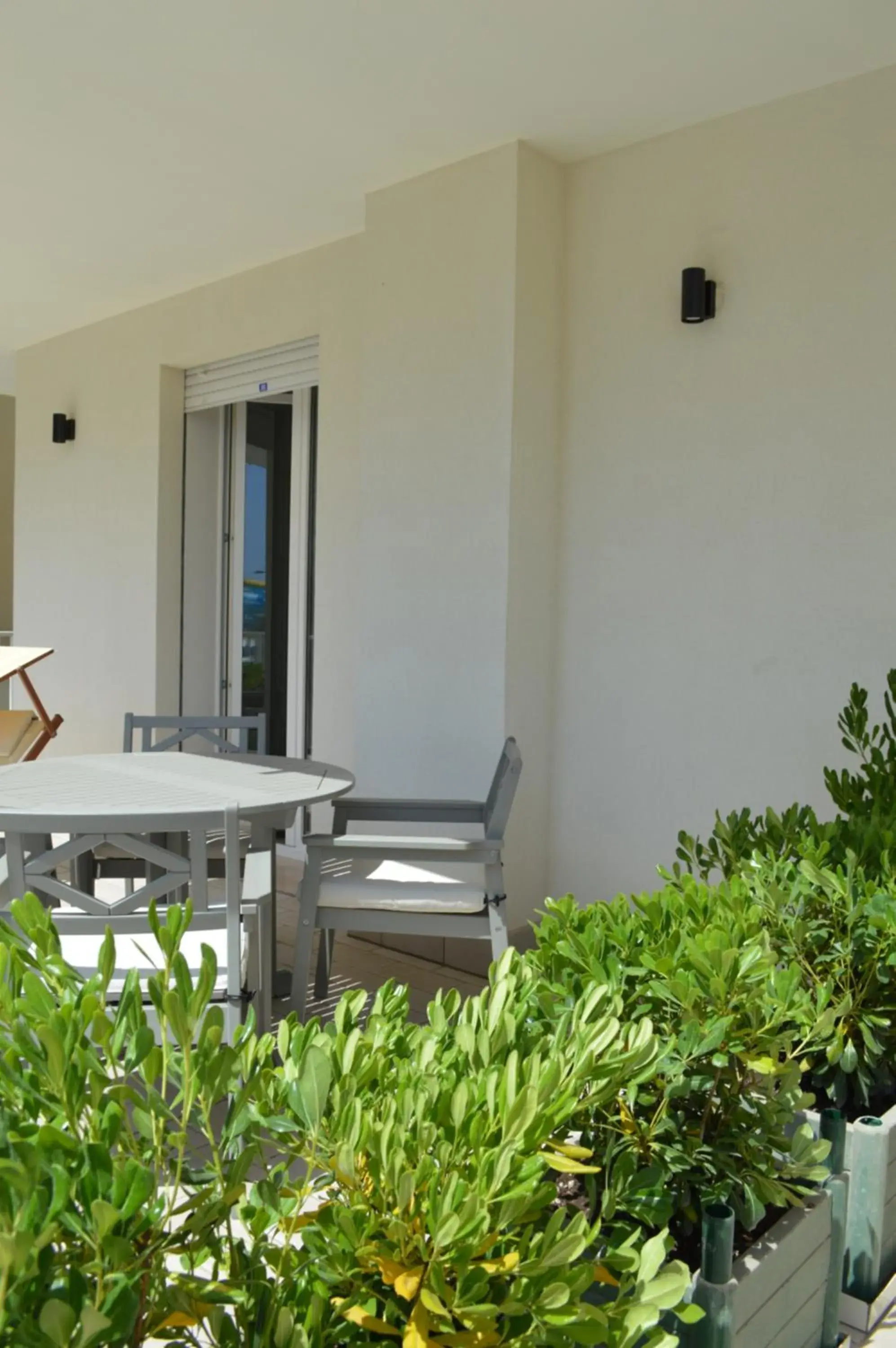 Balcony/Terrace in Hotel Riva e Mare