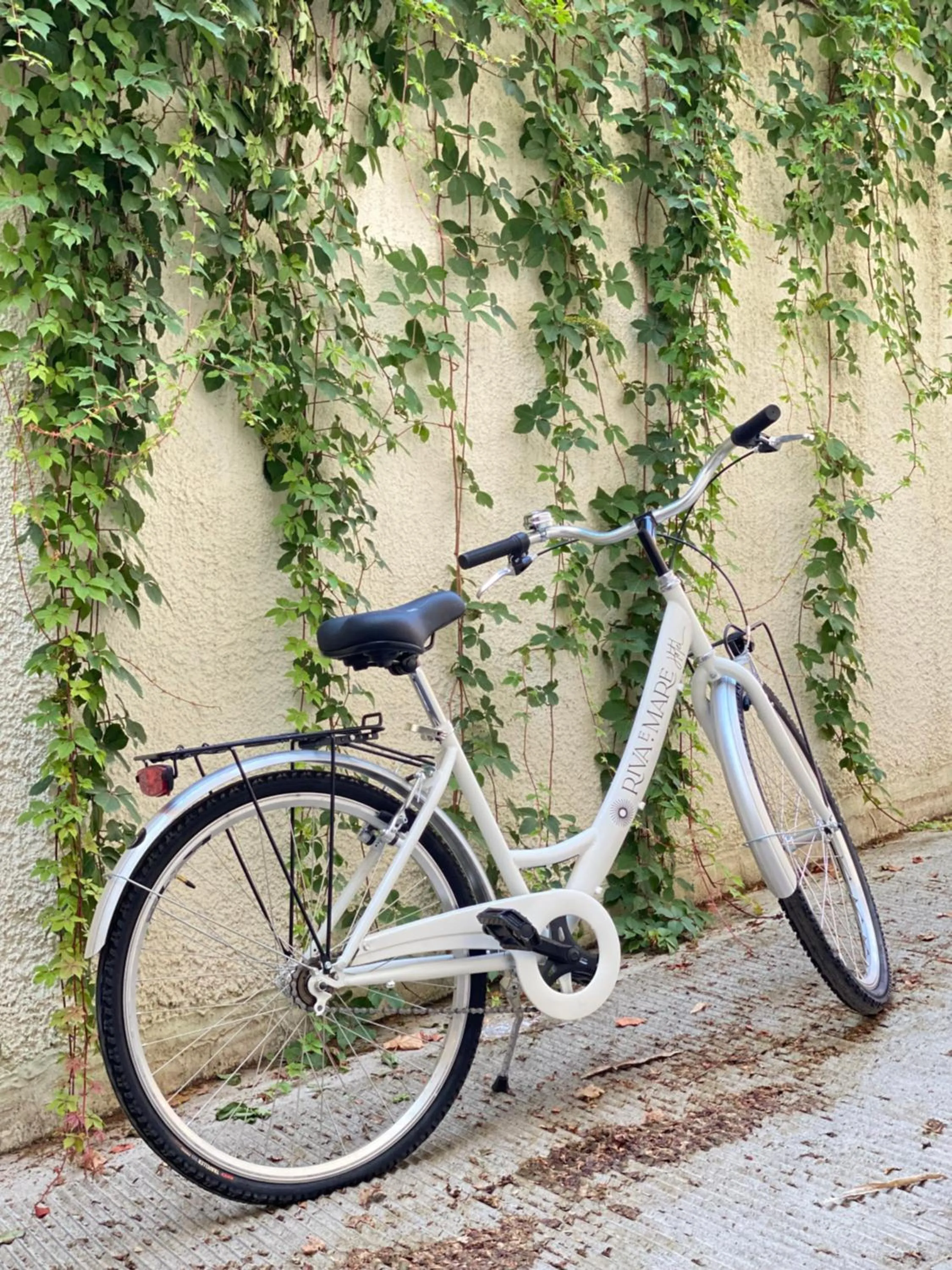 Cycling in Hotel Riva e Mare