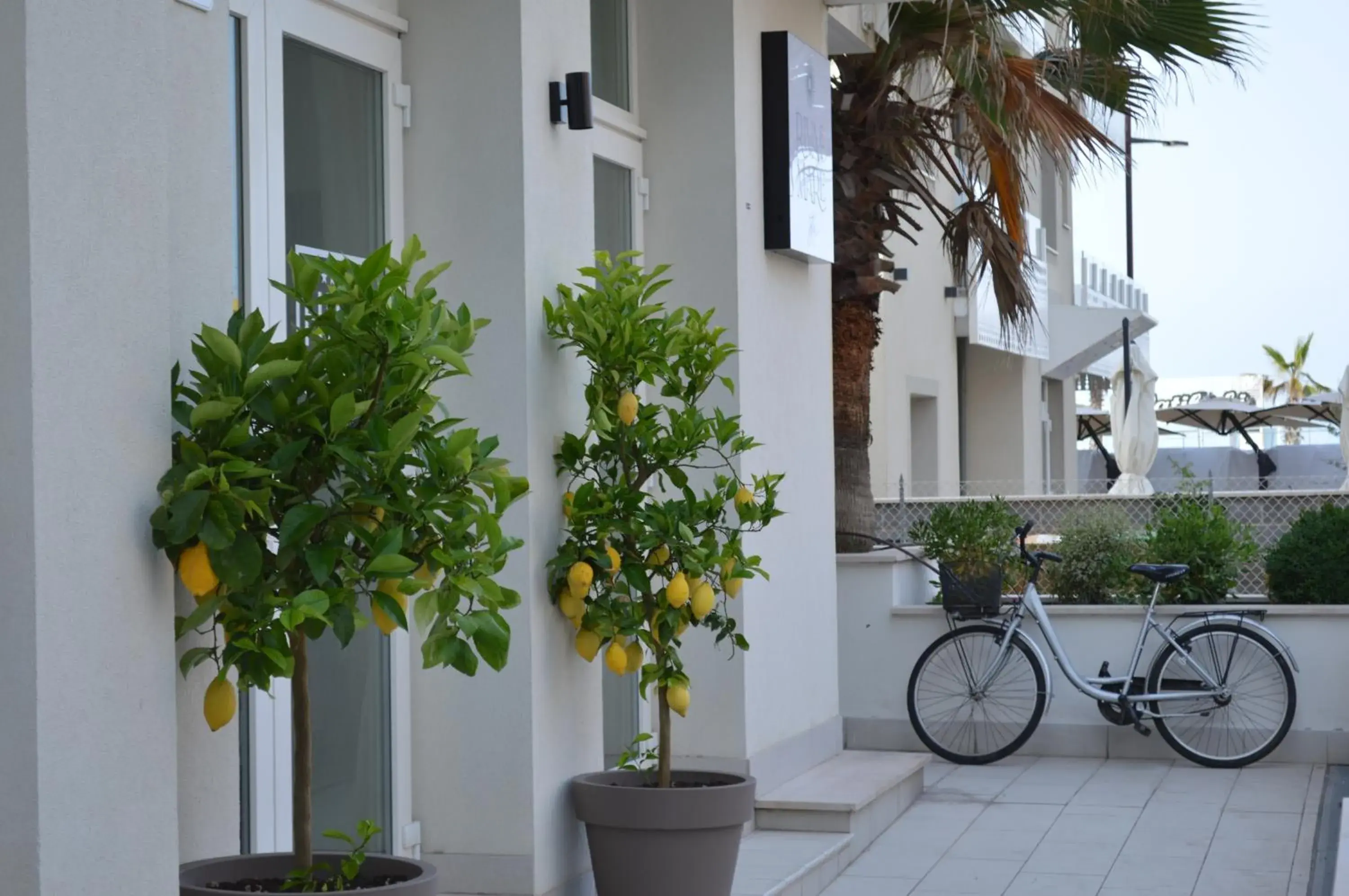 Facade/entrance in Hotel Riva e Mare