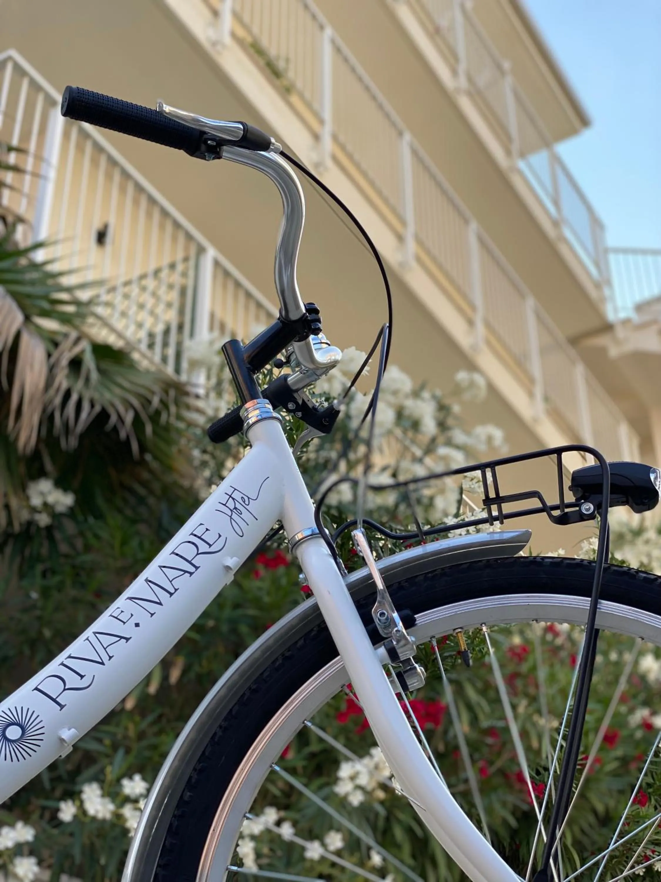 Cycling in Hotel Riva e Mare