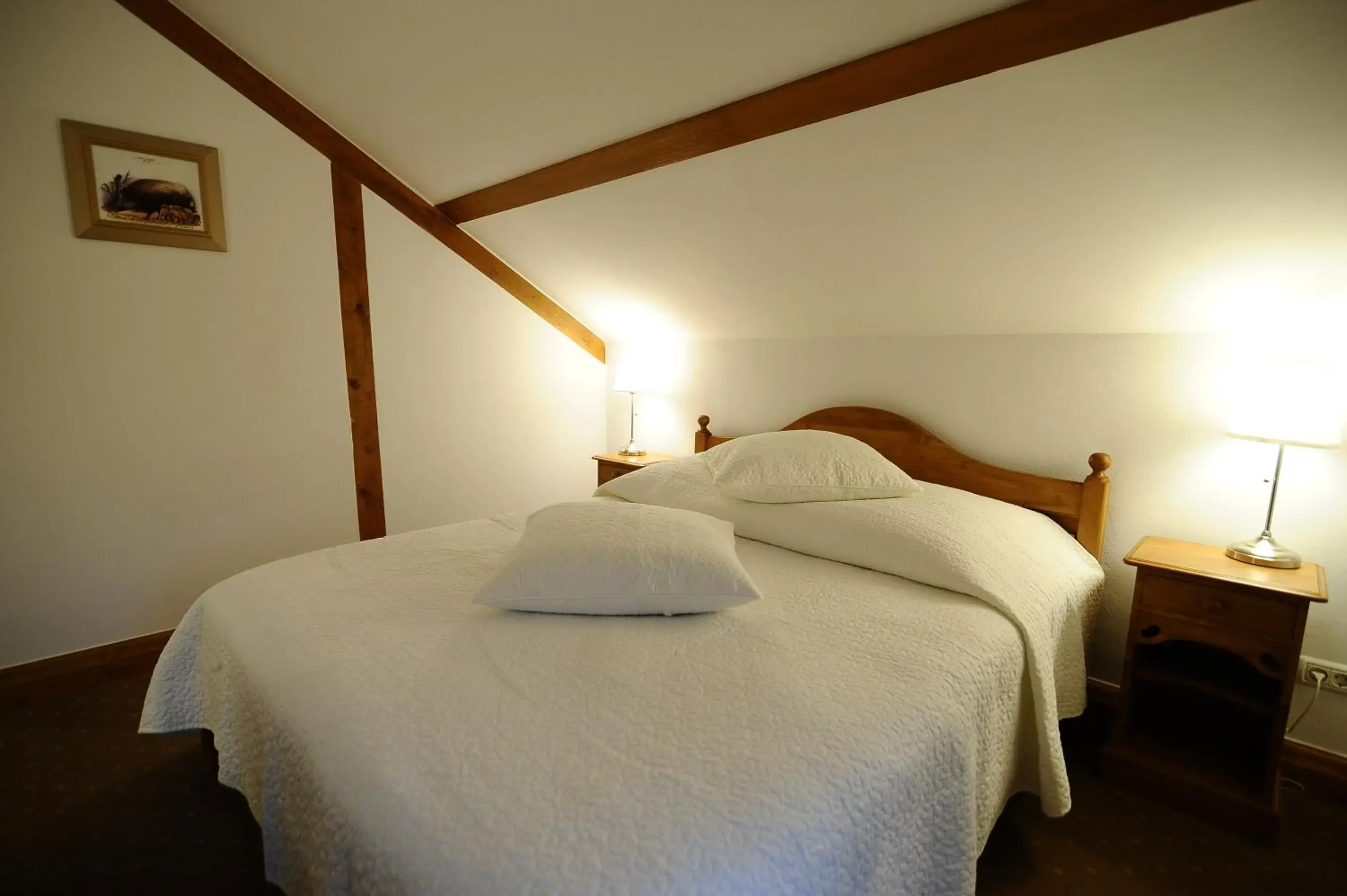 Double Room in Pensiunea Tohanu Vechi Double Room in Pensiunea Tohanu Vechi