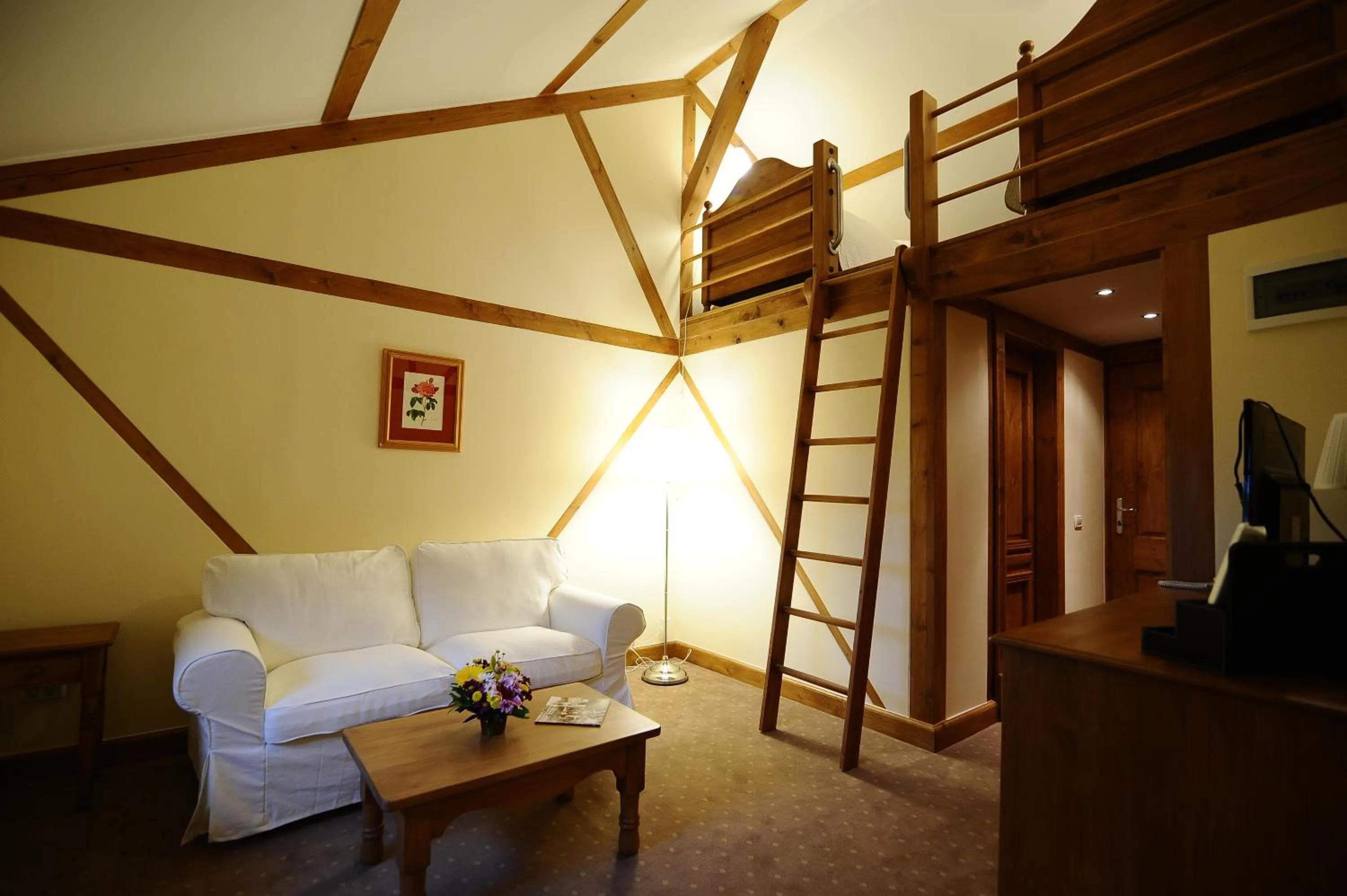 Living room in Pensiunea Tohanu Vechi