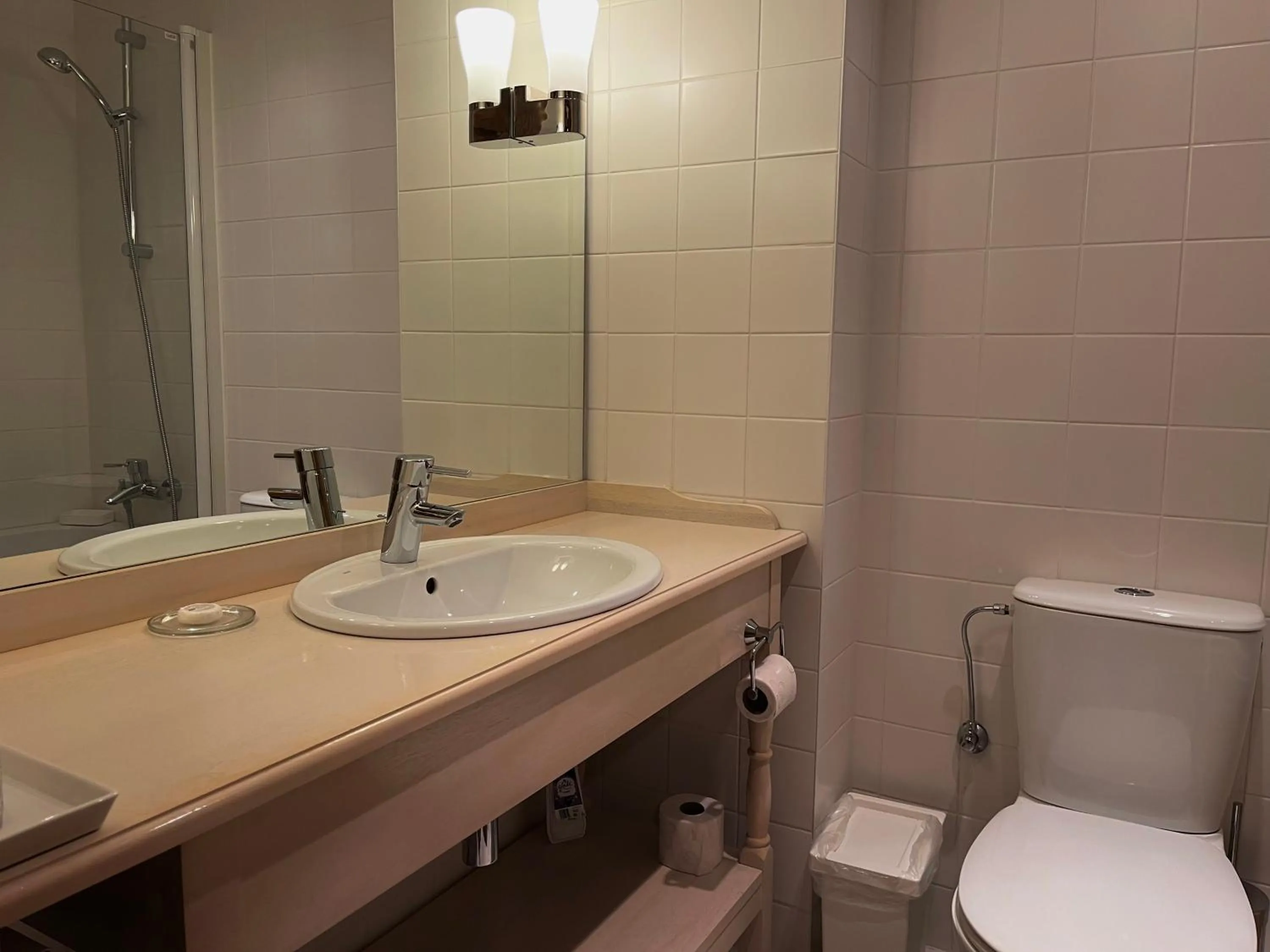 Bathroom in Pensiunea Tohanu Vechi