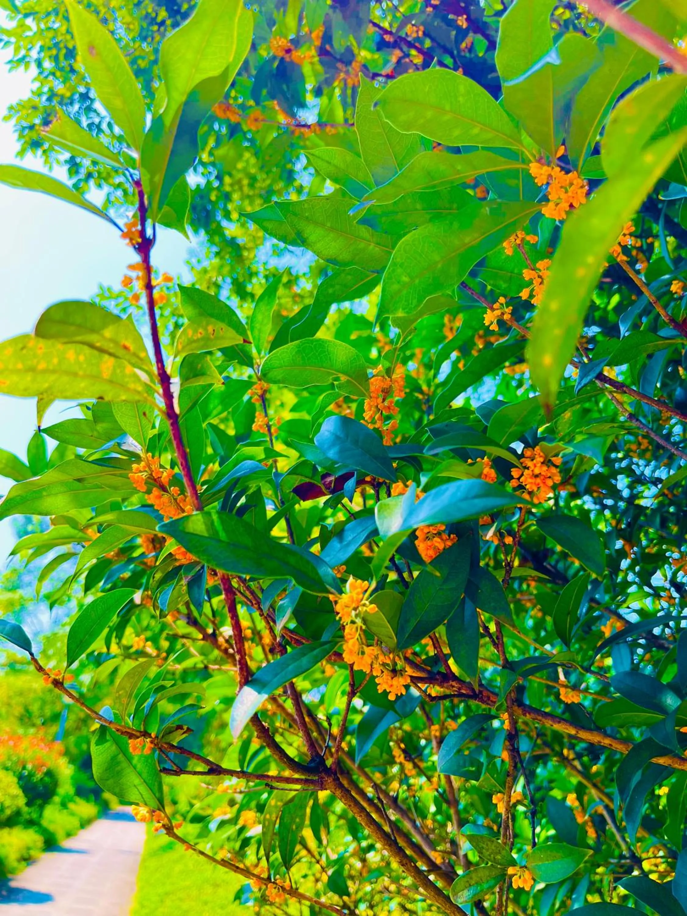 Natural landscape in Hilton Garden Inn Ganzhou Longnan