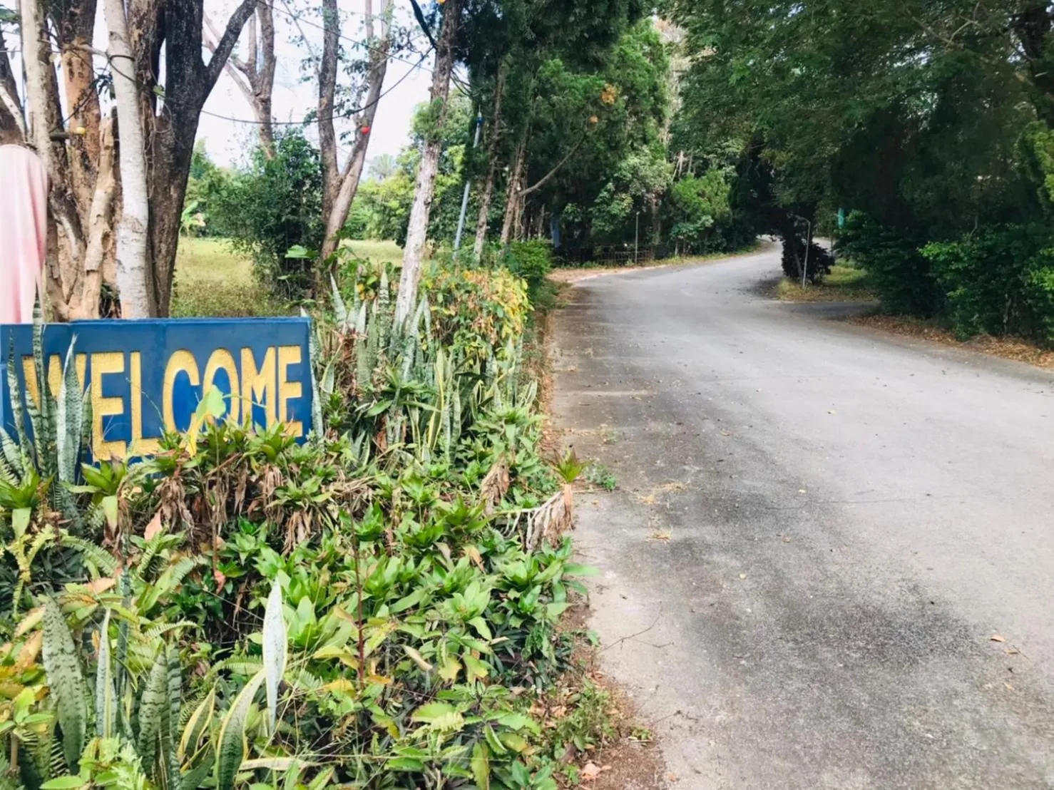 Property building in Saensukkho Hotel & Resort