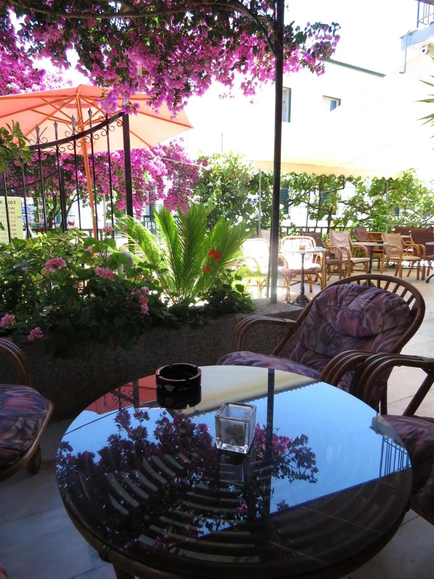 Harrys bar & apartments