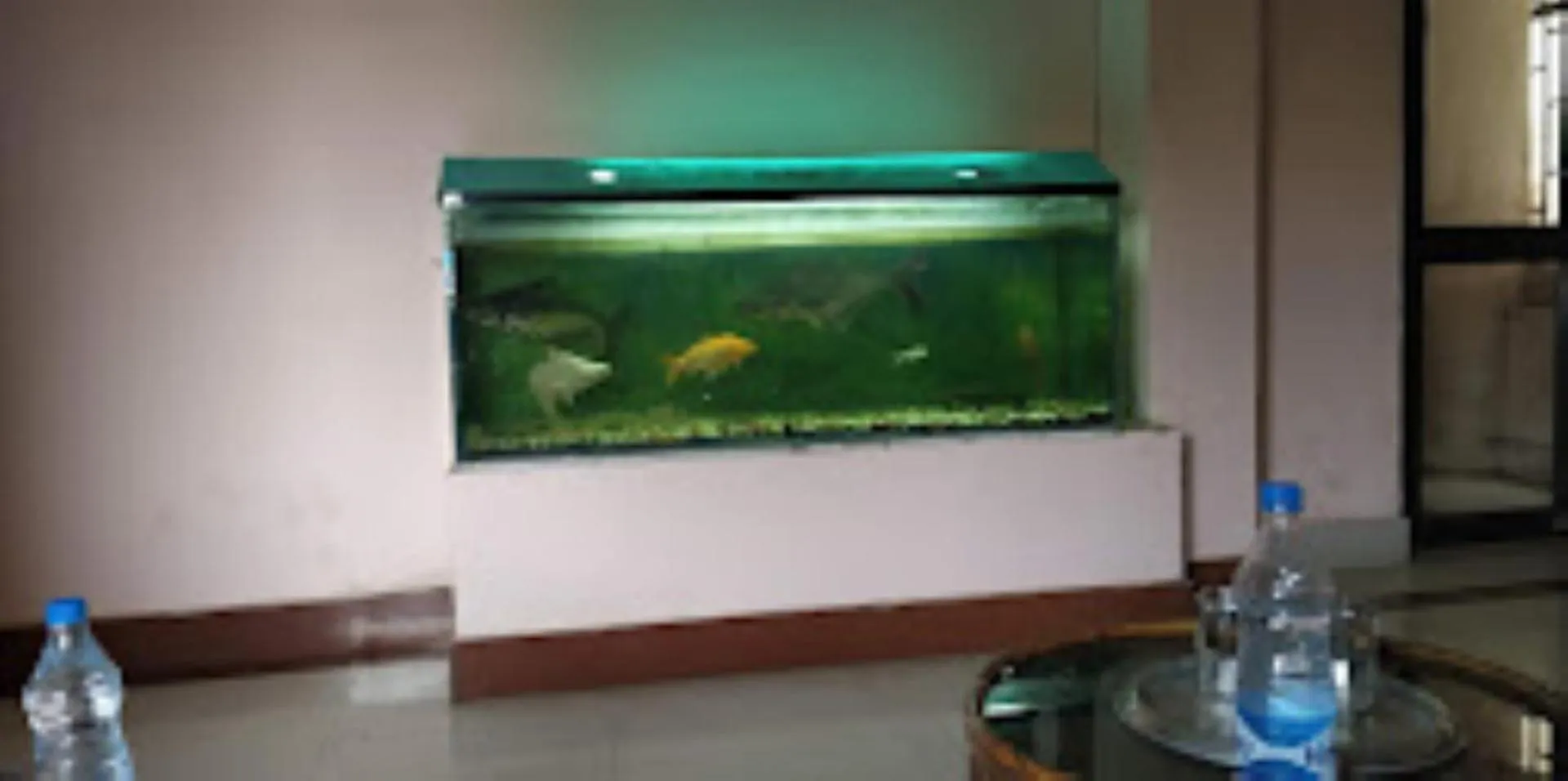 Property building, TV/Entertainment Center in Hotel Blue Wheel,Bhubaneswar