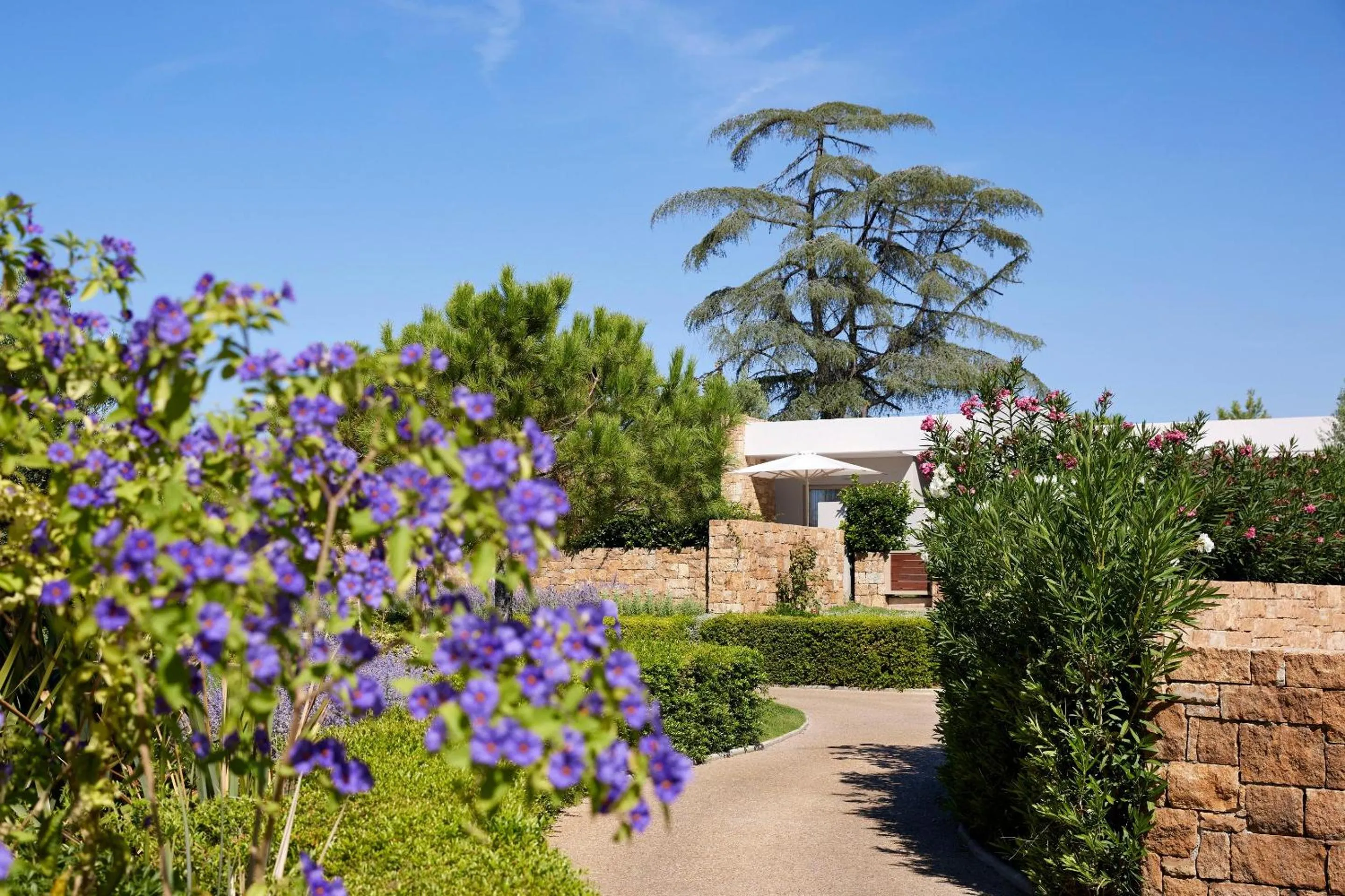 Garden in Ikos Olivia