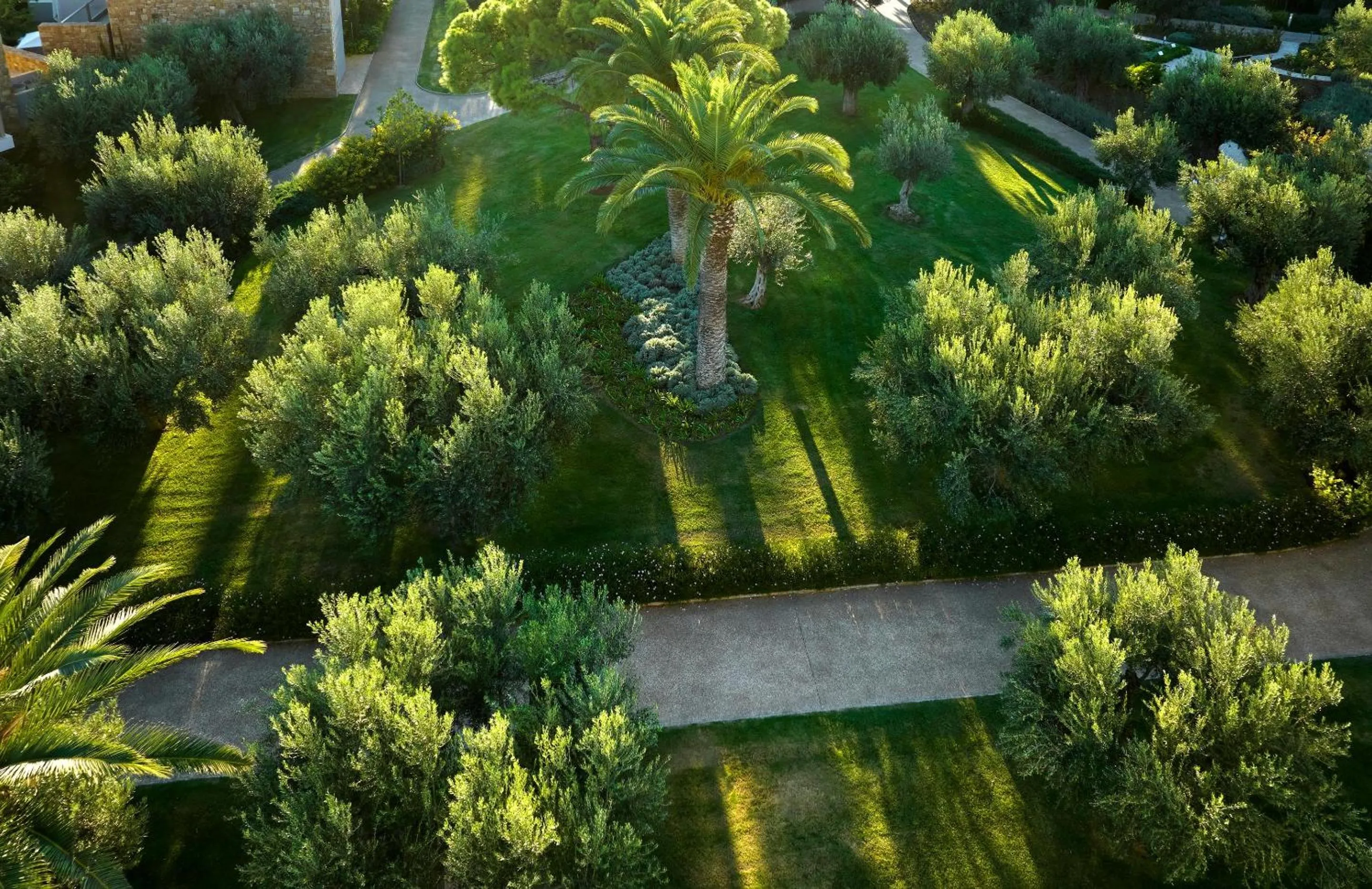 Garden in Ikos Olivia