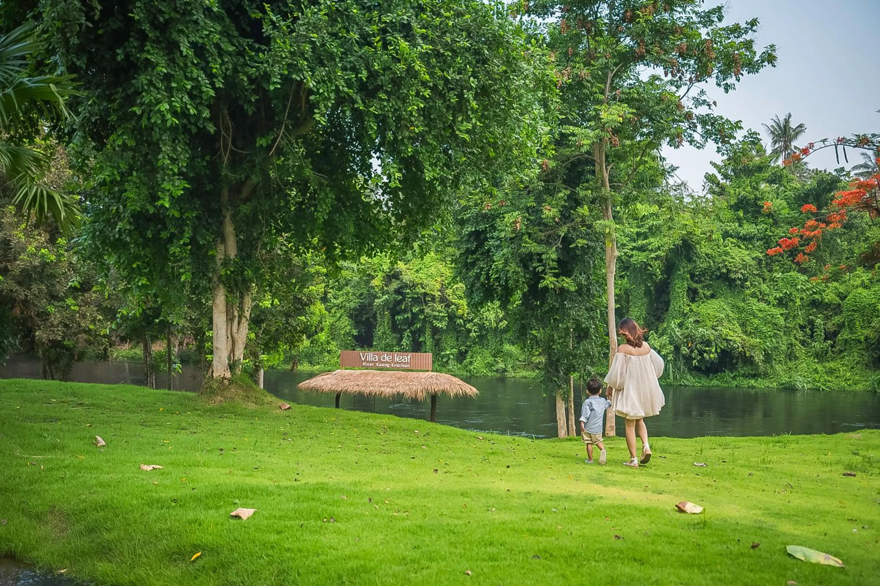 Natural landscape in Villa De Leaf River Kaeng Krachan