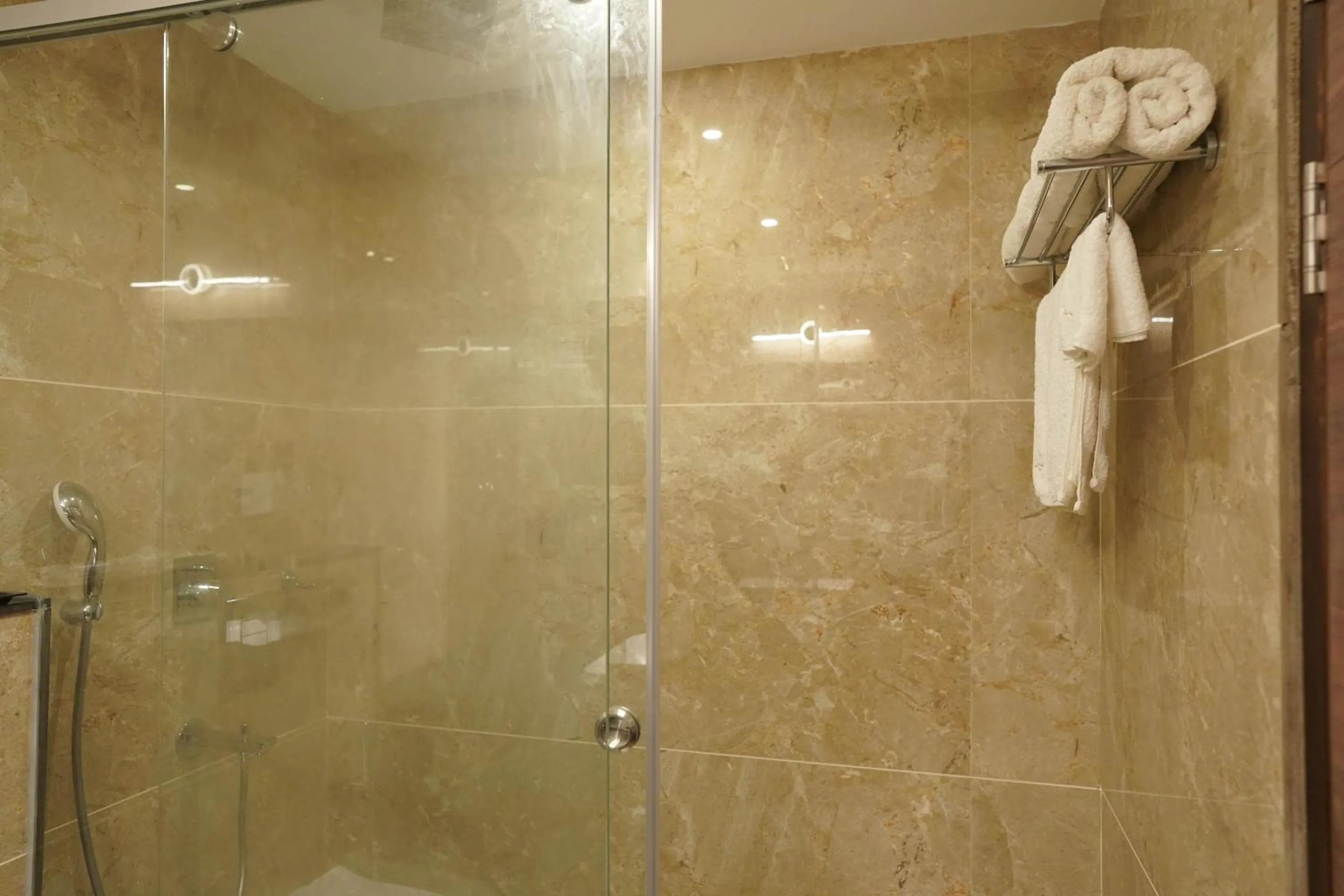 Shower in HOTEL VKJ INN Aluva