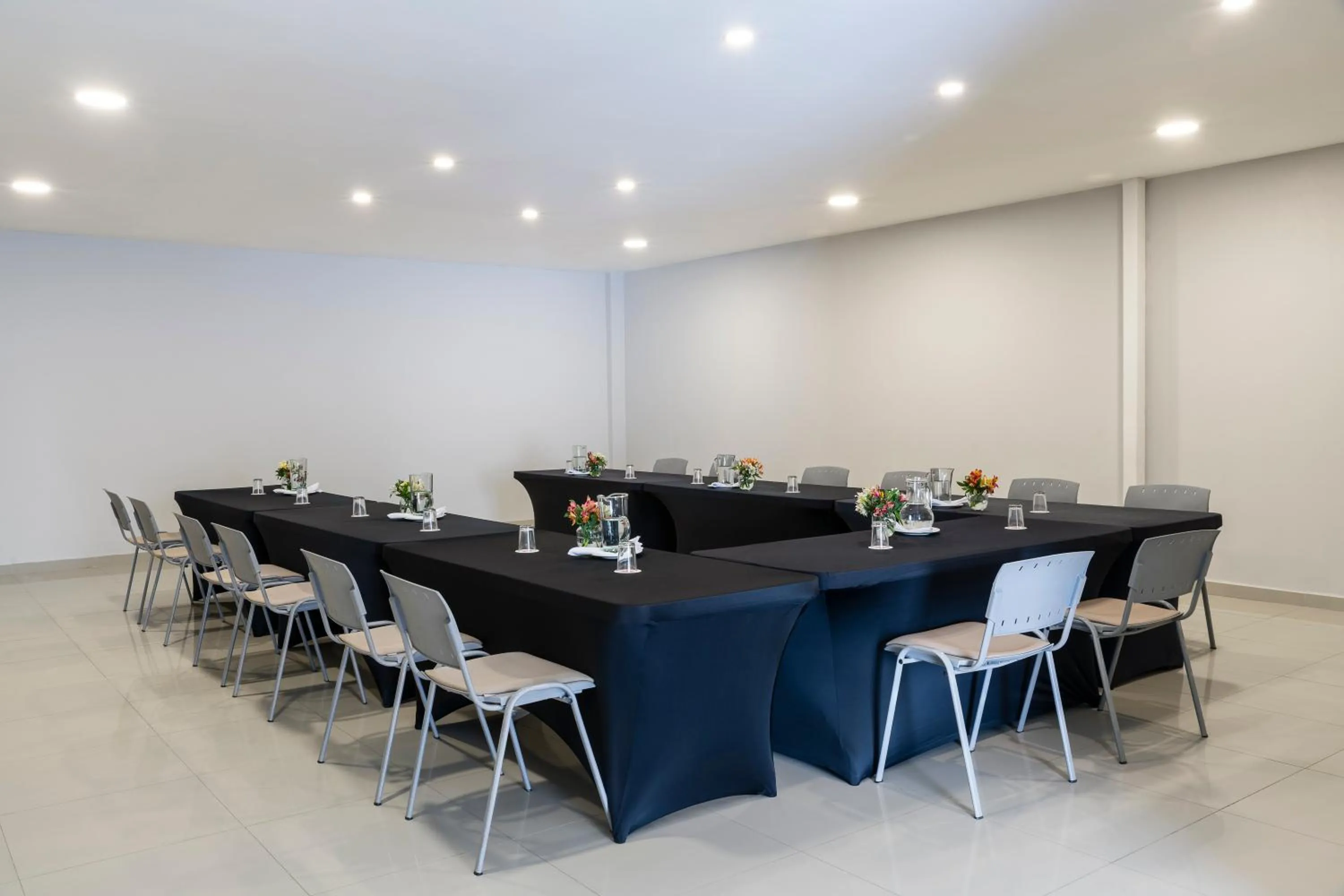 Meeting/conference room in Hotel MS Ciudad Jardin