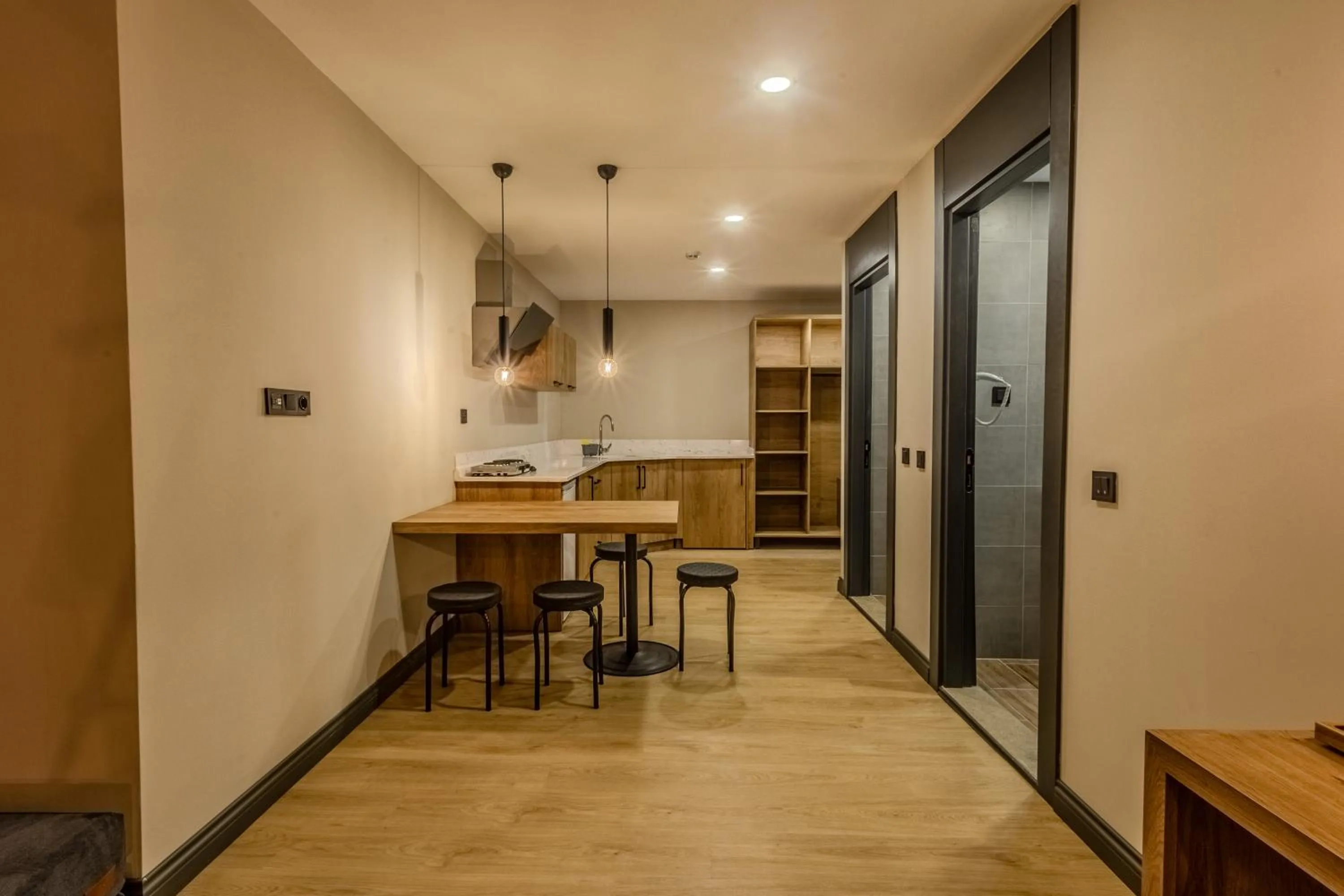 Kitchen or kitchenette in LELİKO SUITES