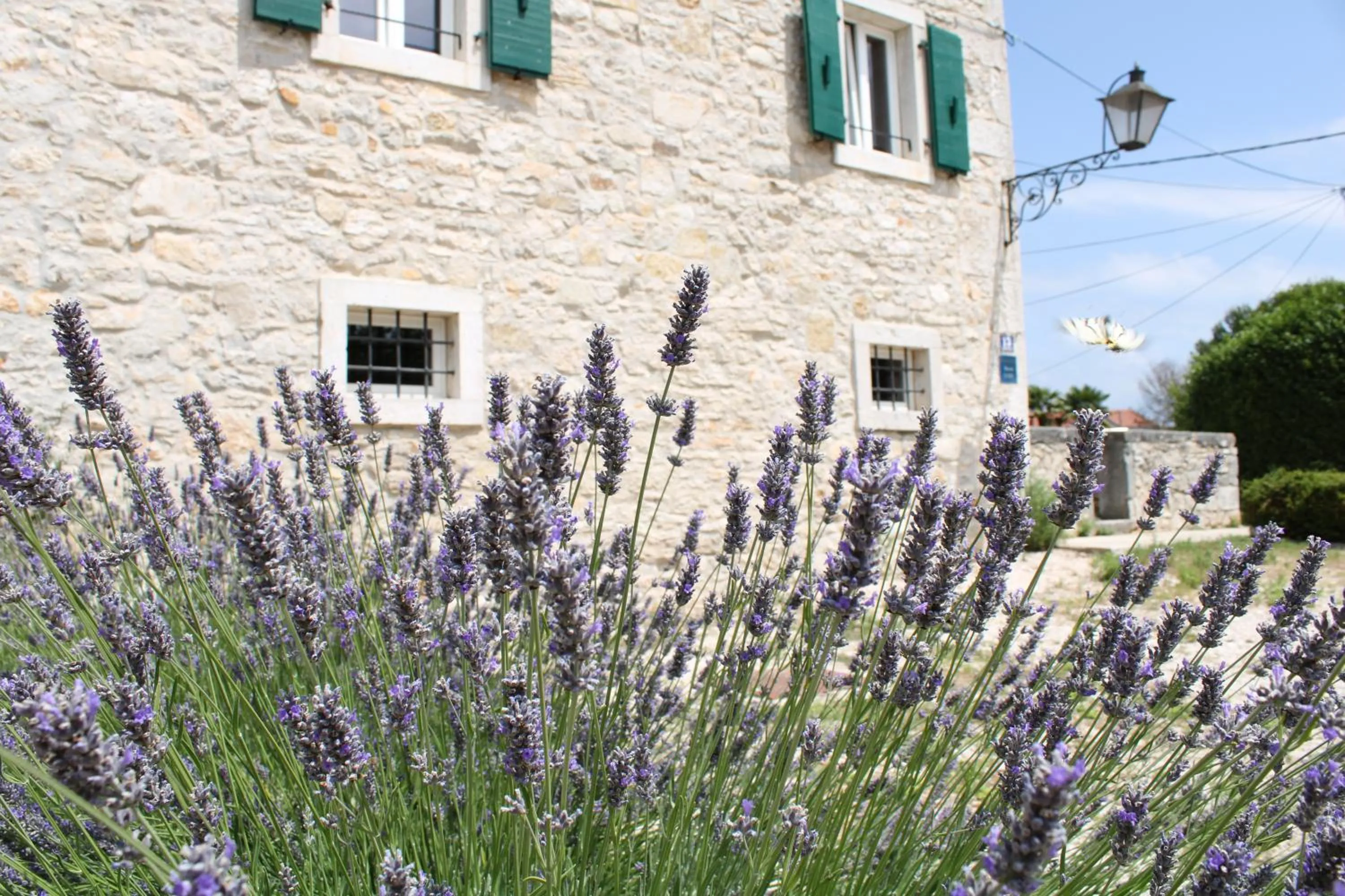 Property building in Boutique Castello Gulich