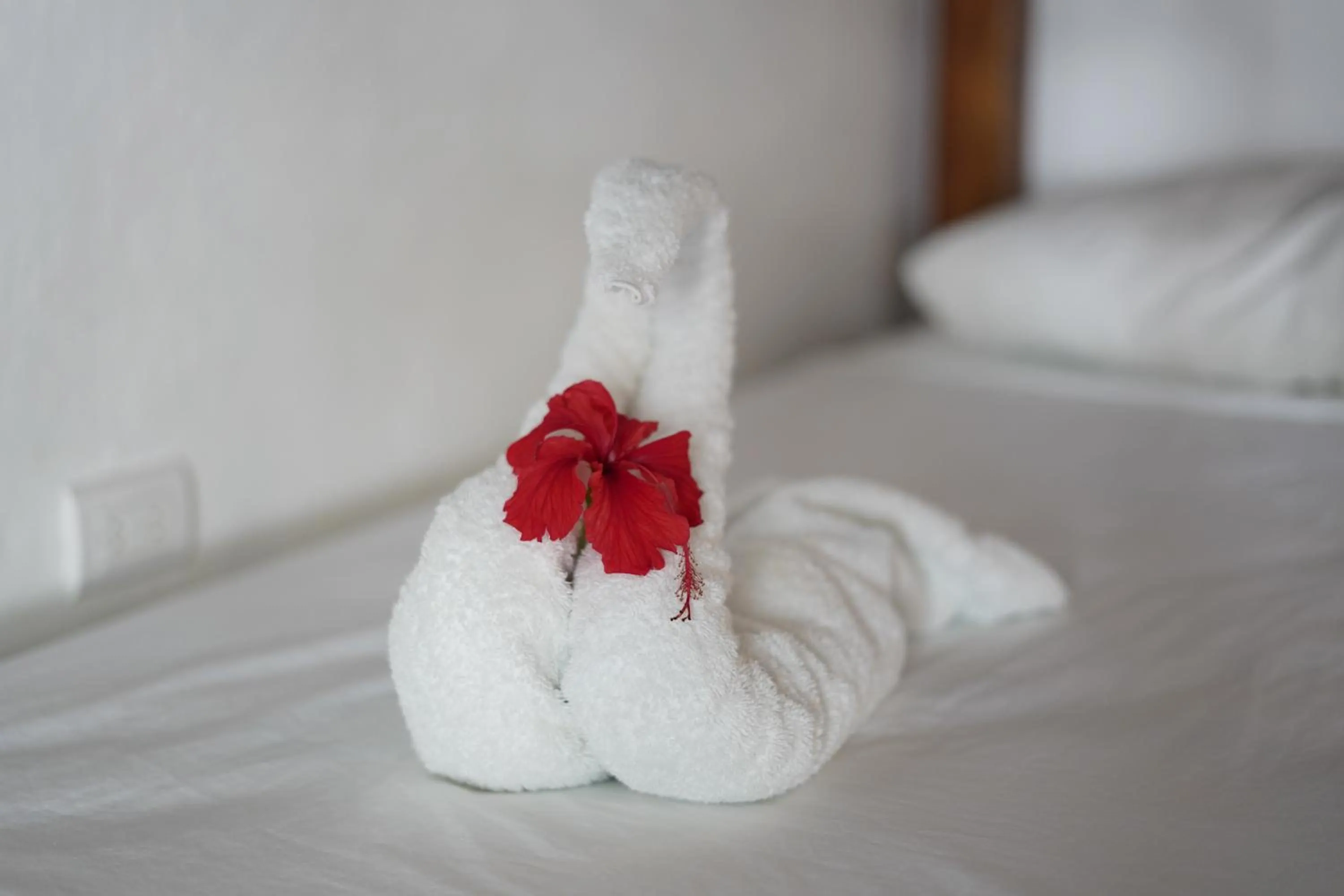 Bed in El Pacifico Hotel