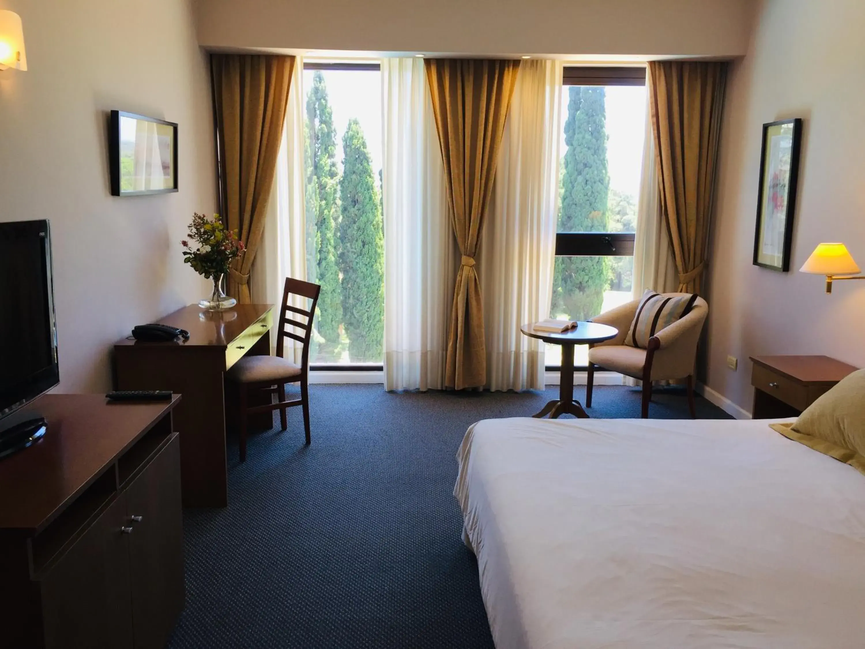 Living room, Bed in San Miguel Plaza Hotel All Inclusive Living room, Bed in San Miguel Plaza Hotel All Inclusive