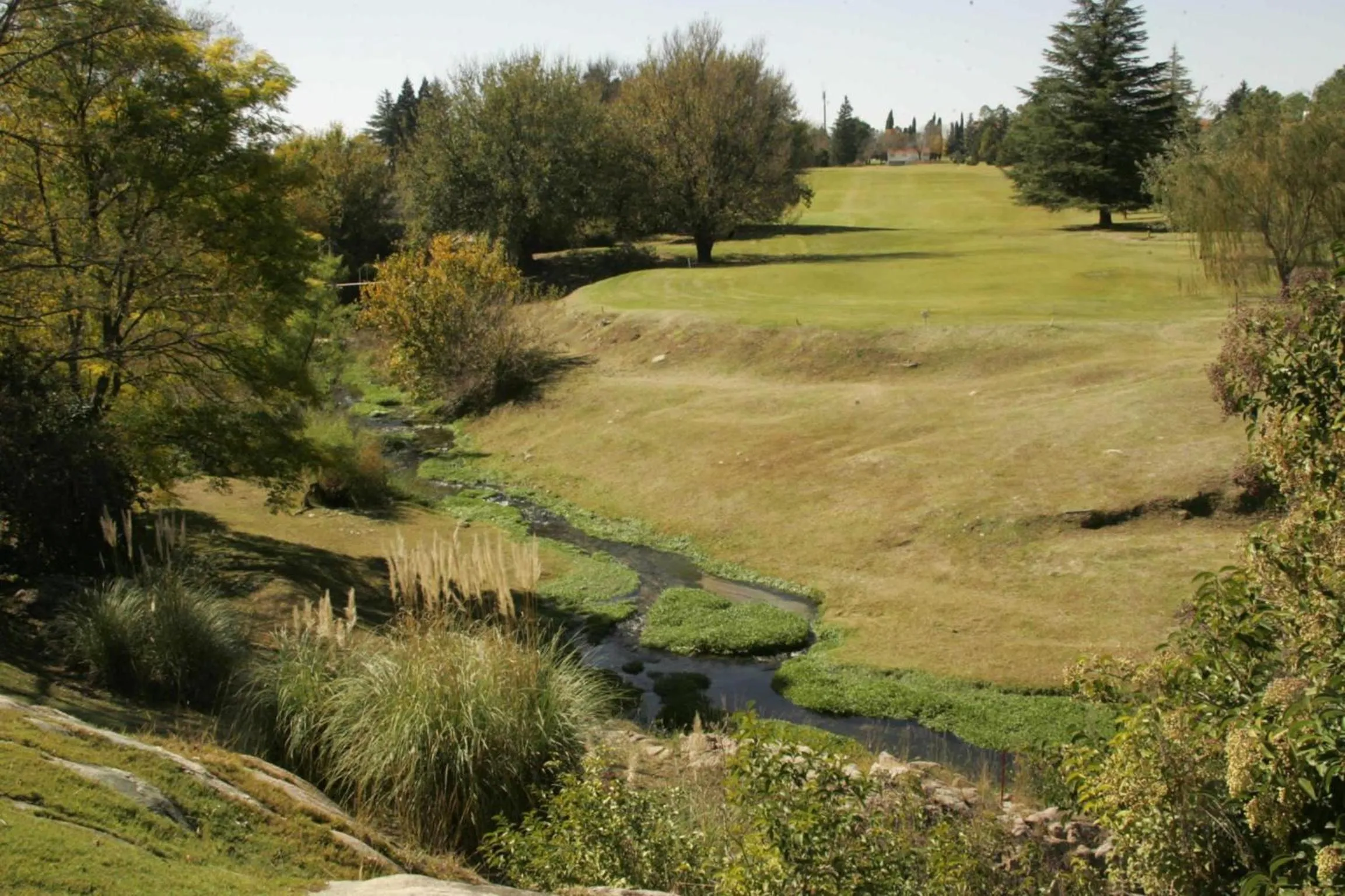 Natural landscape in San Miguel Plaza Hotel All Inclusive