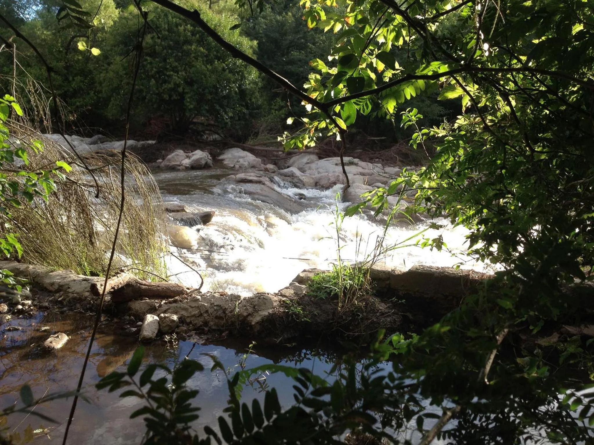 Natural landscape in San Miguel Plaza Hotel All Inclusive