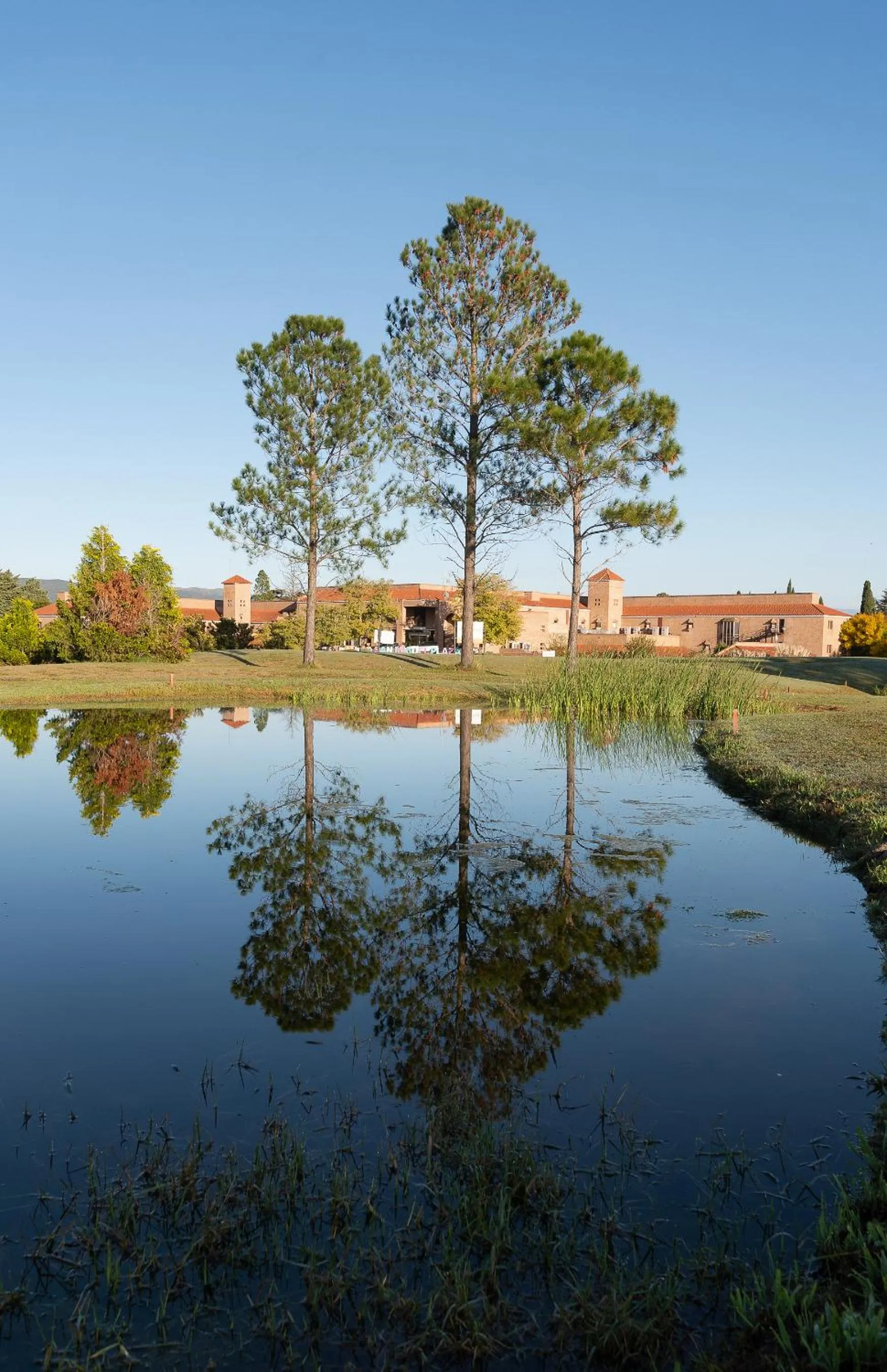 Property building in San Miguel Plaza Hotel All Inclusive