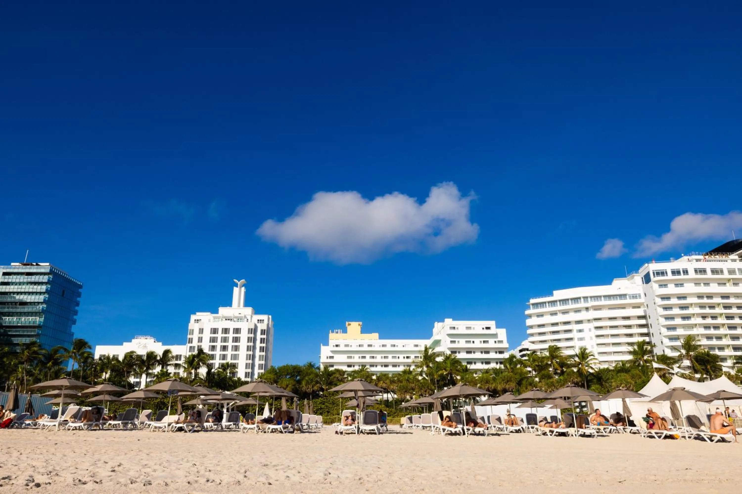 Day in Riu Plaza Miami Beach