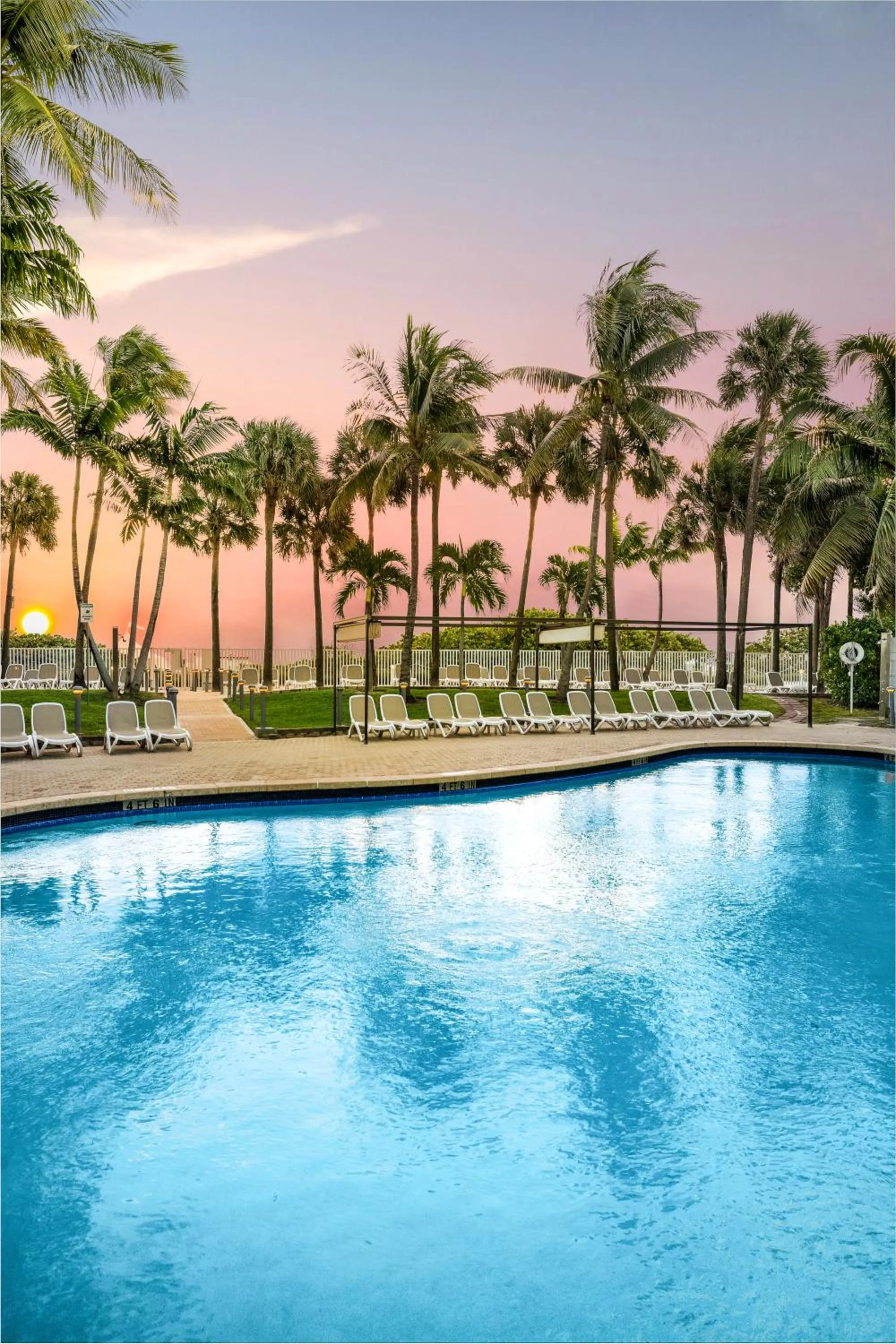 Garden in Riu Plaza Miami Beach