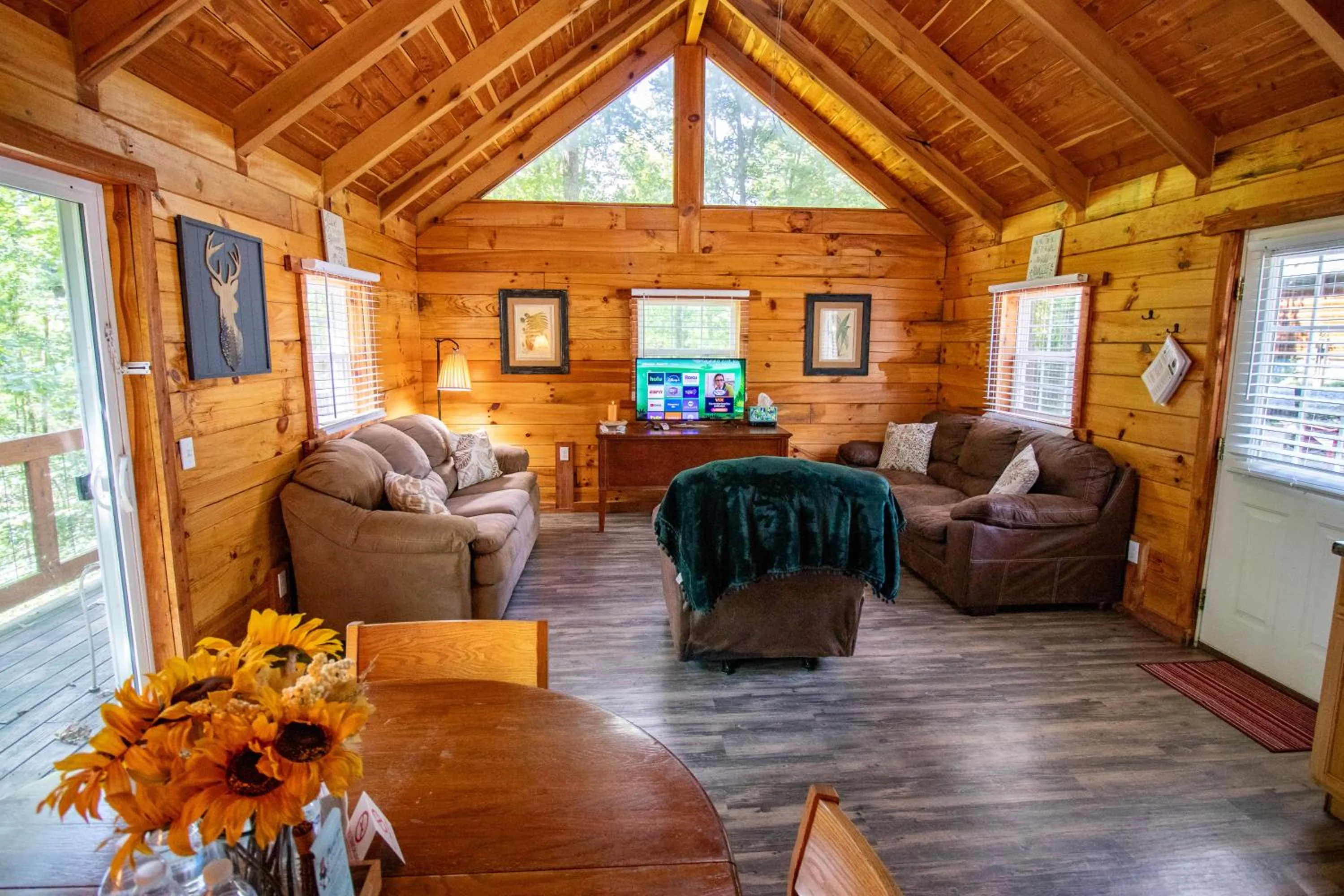 TV and multimedia in Kozy Haven Log Cabin Rentals