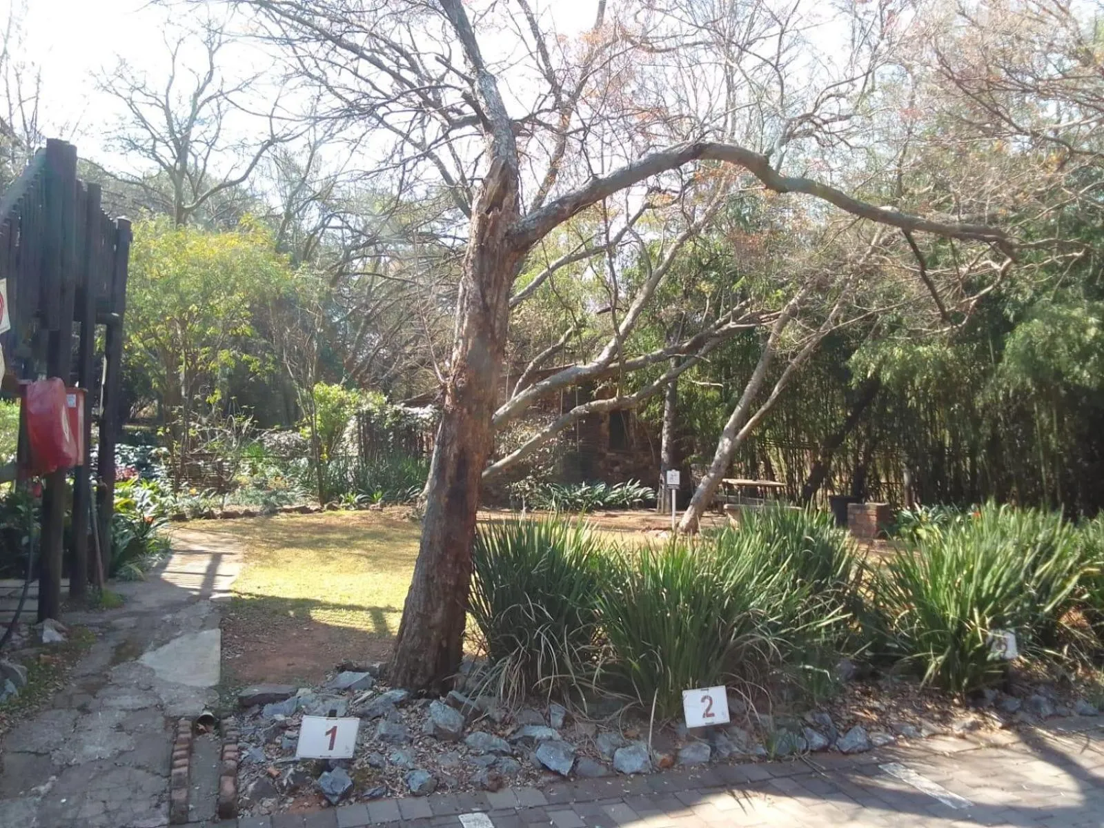 Garden in Lapalosa Lodge