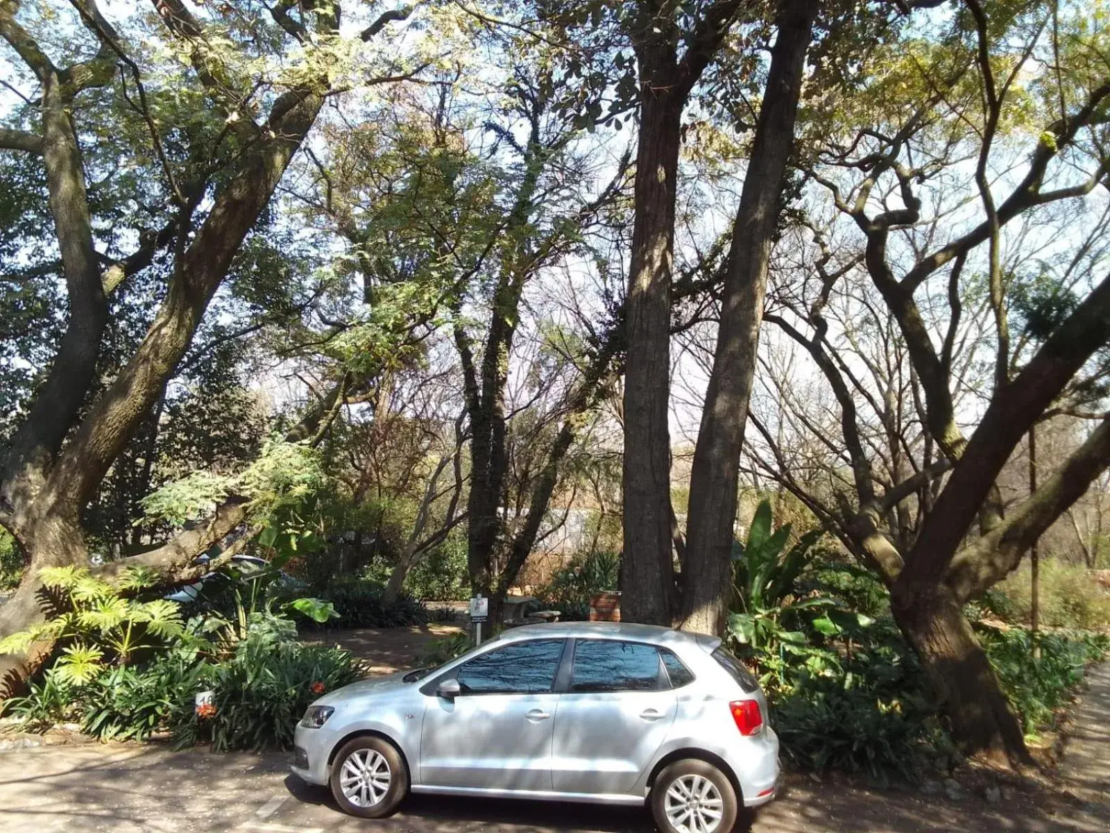 Garden in Lapalosa Lodge Garden in Lapalosa Lodge