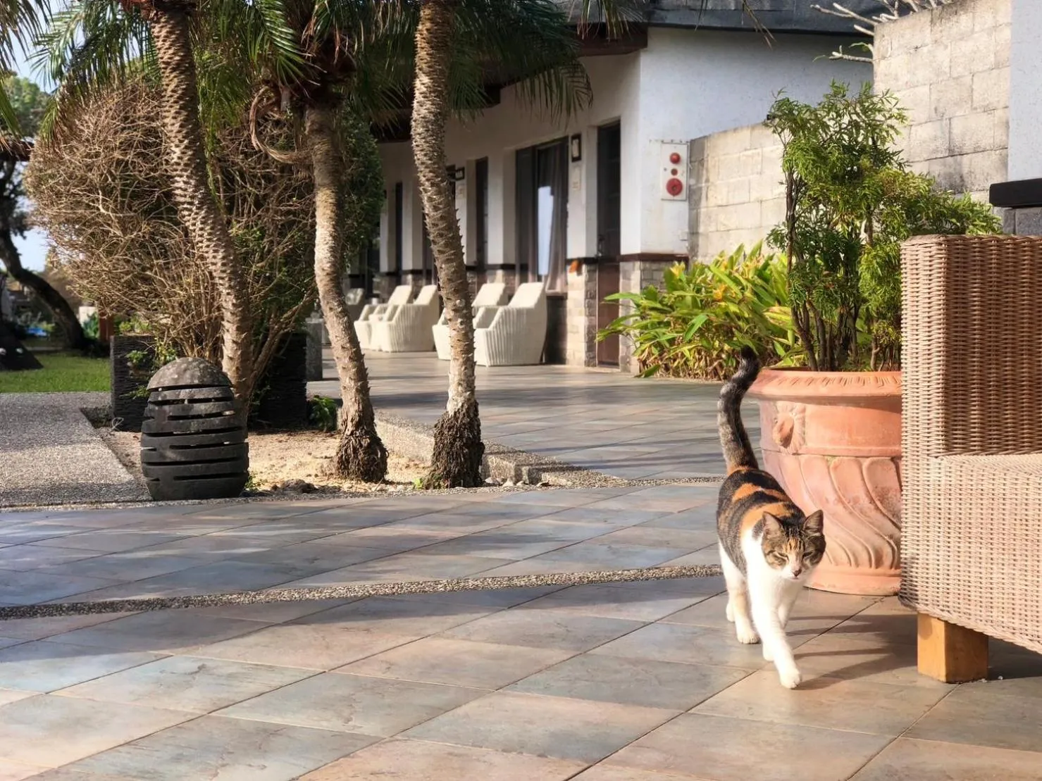 Property building in Kenting Summerland Garden Resort