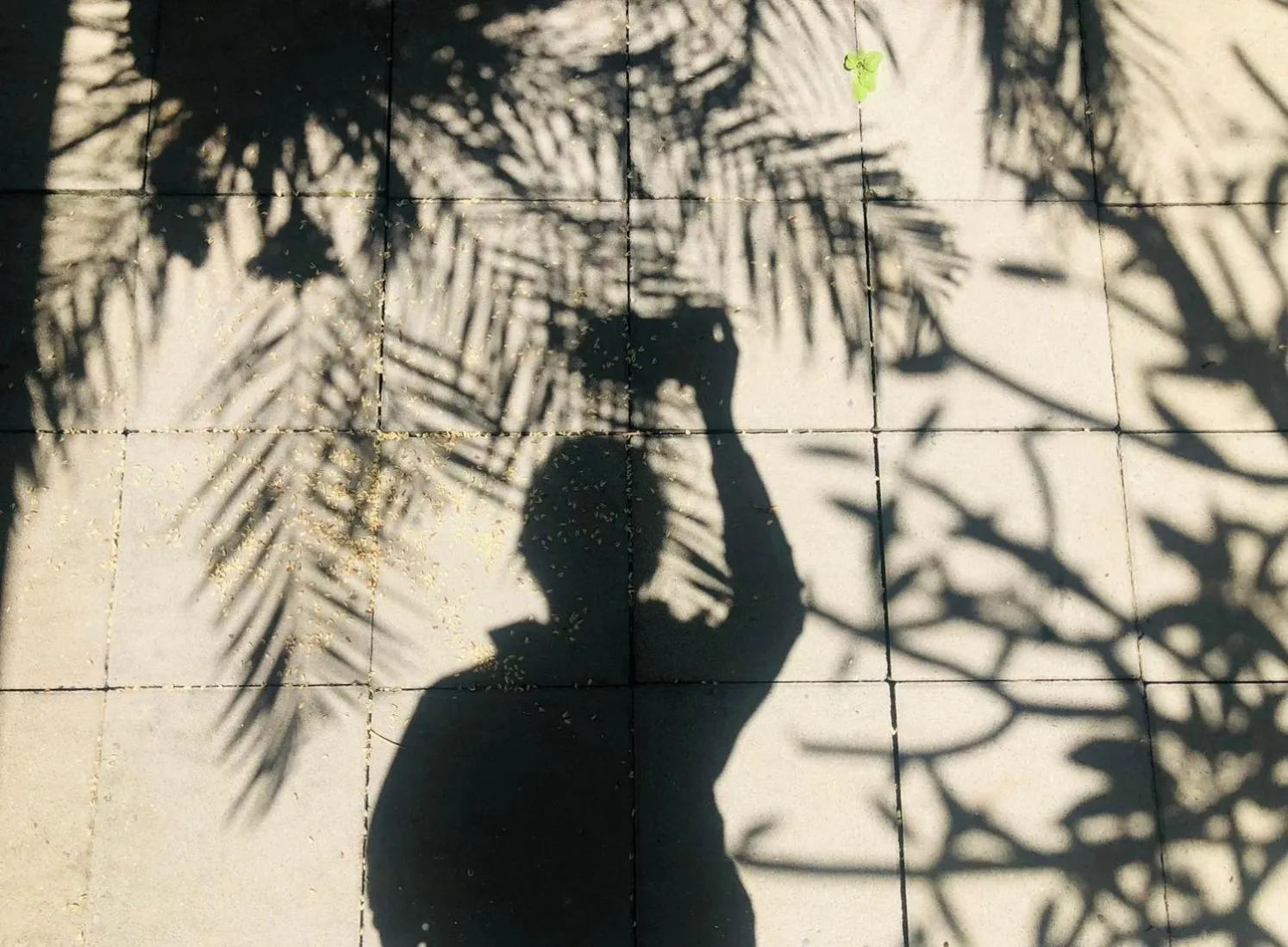 Natural landscape in Kenting Summerland Garden Resort