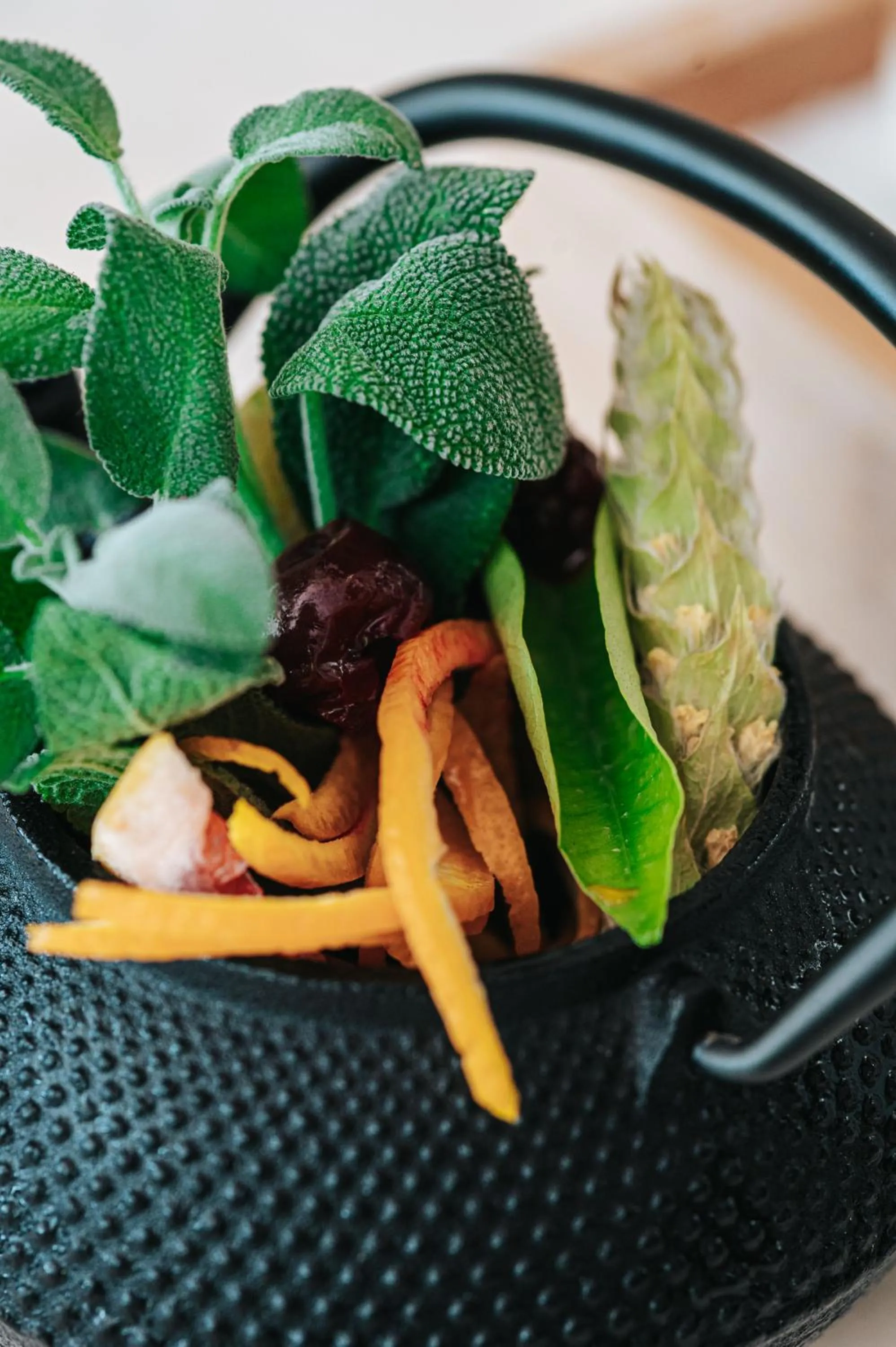 Drinks in Athenarum Portus Life & Style Hotel