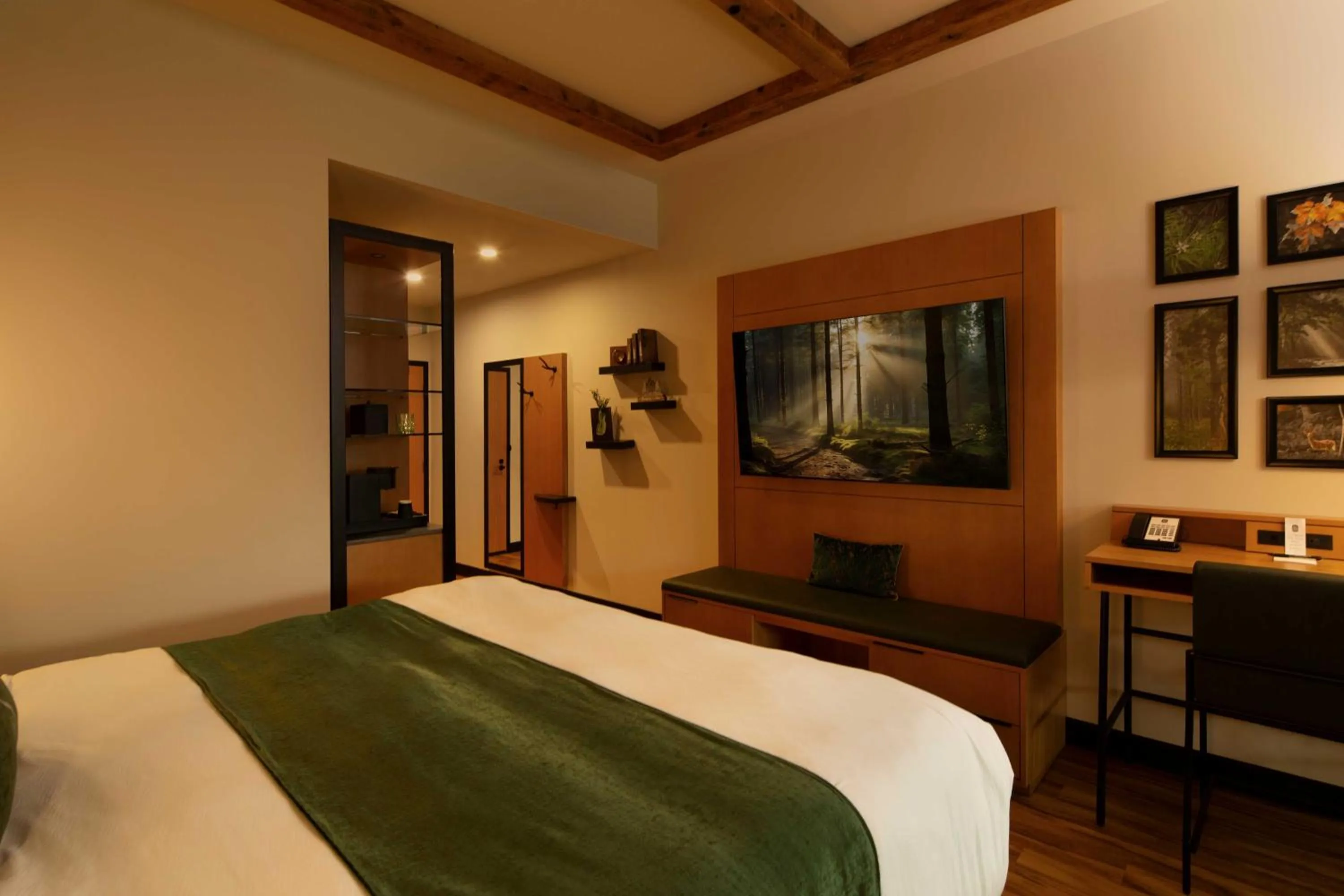 TV and multimedia, Bed in The Swiftwater