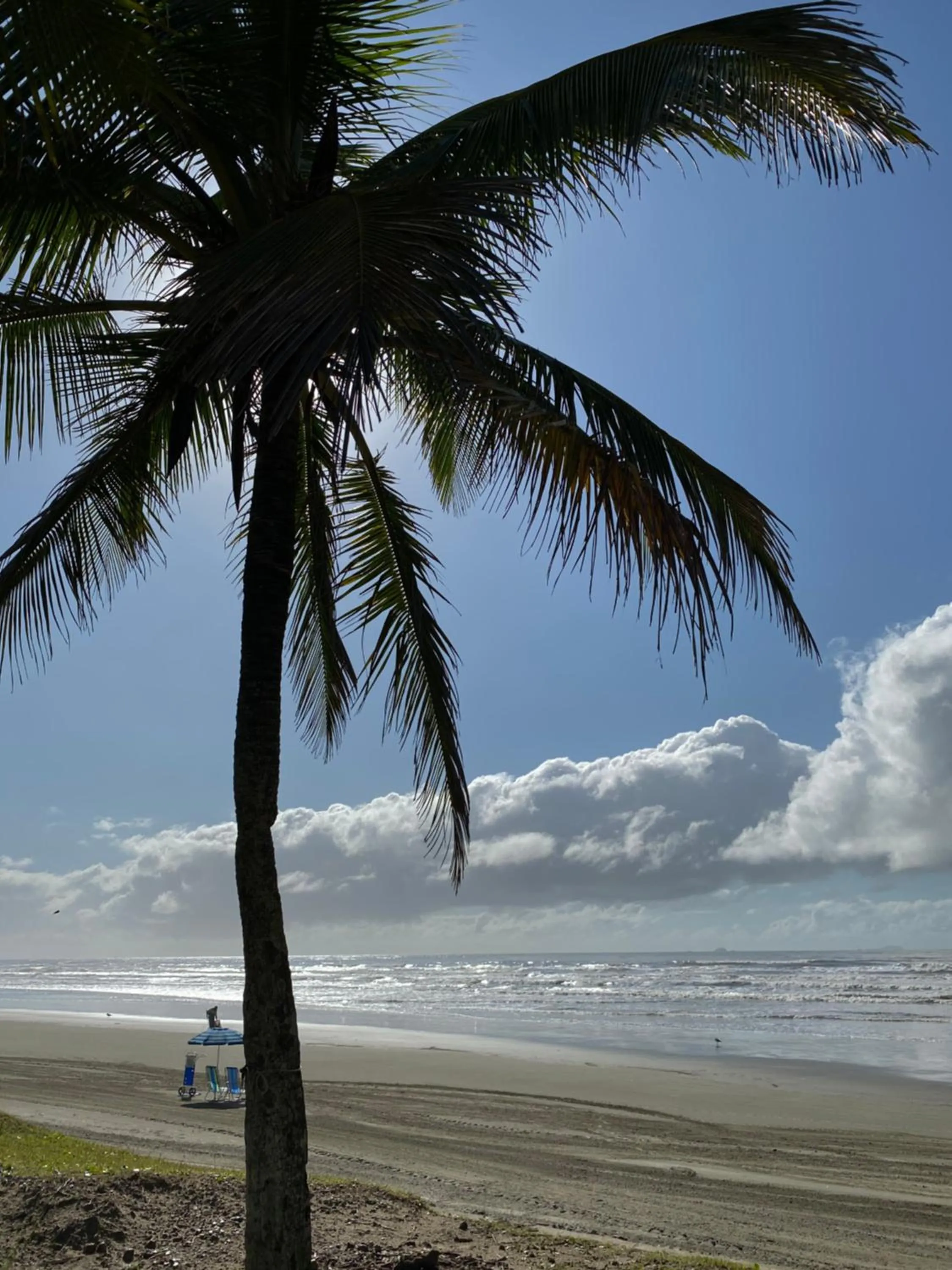 Beach in Surfside Suites
