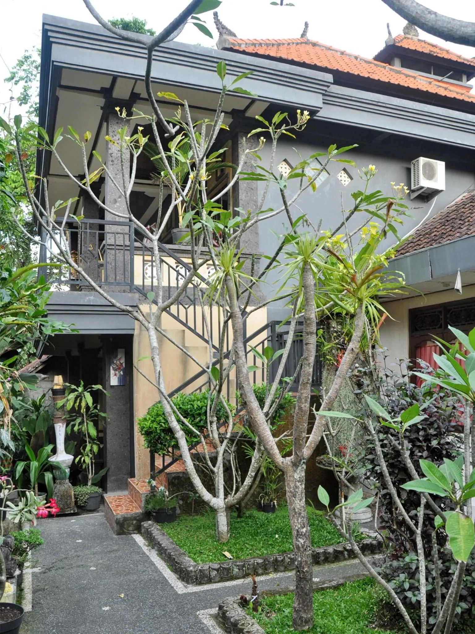 Garden in Pancer House