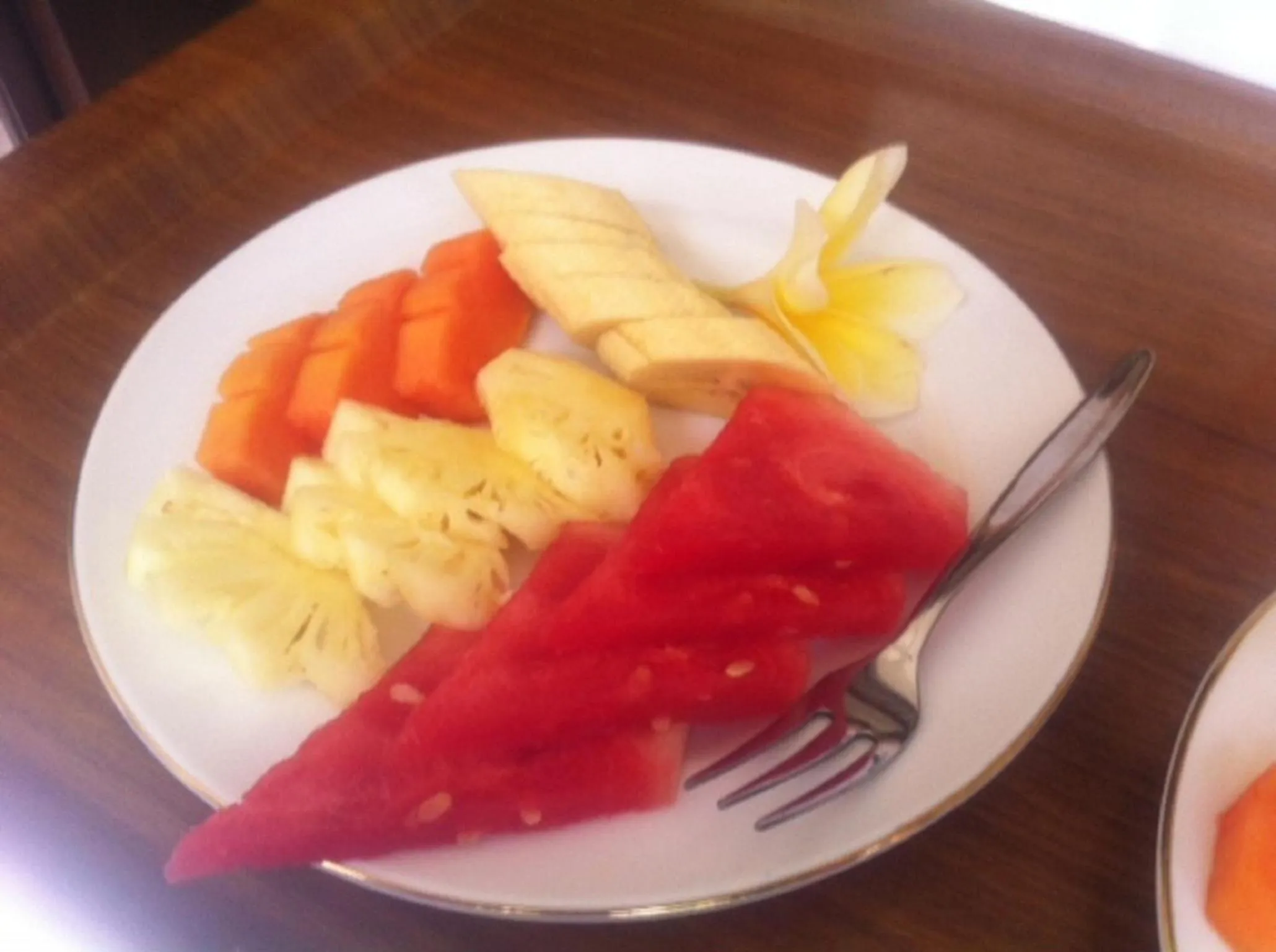 Food and drinks in Pancer House