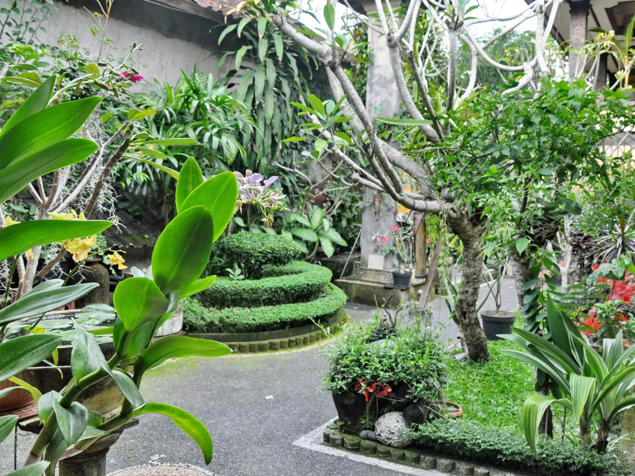 Garden in Pancer House