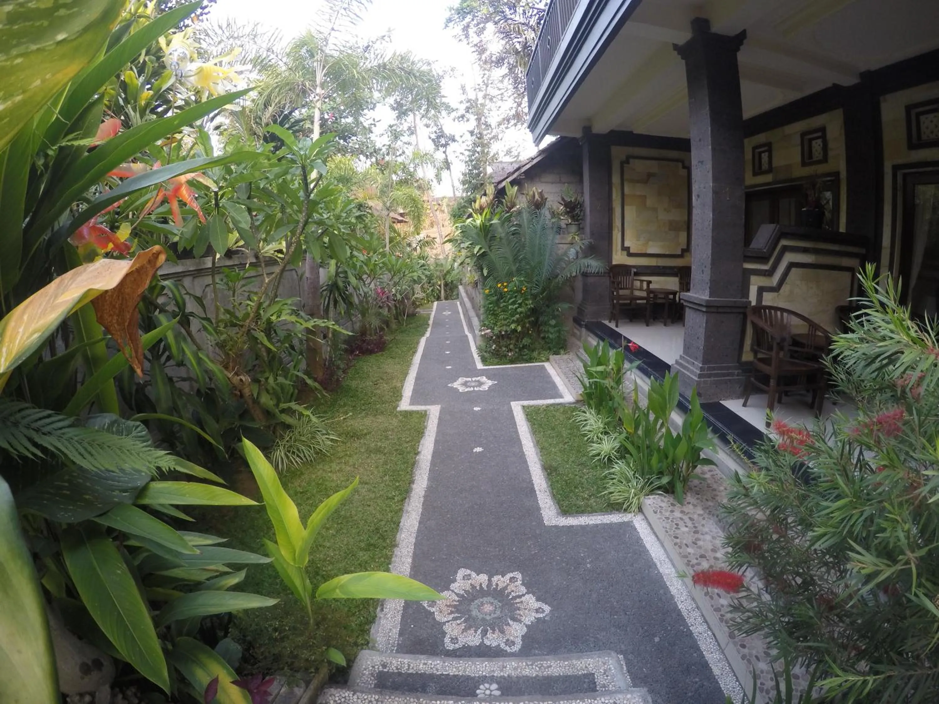 Garden in Pancer House