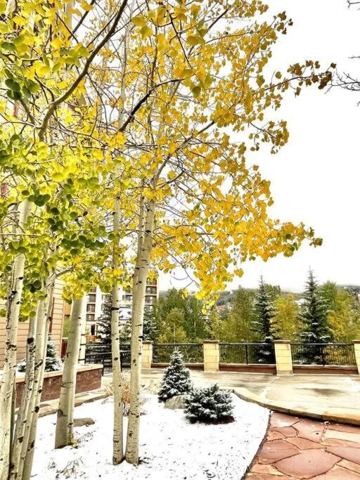 Hyatt Residence Club Main Street Station