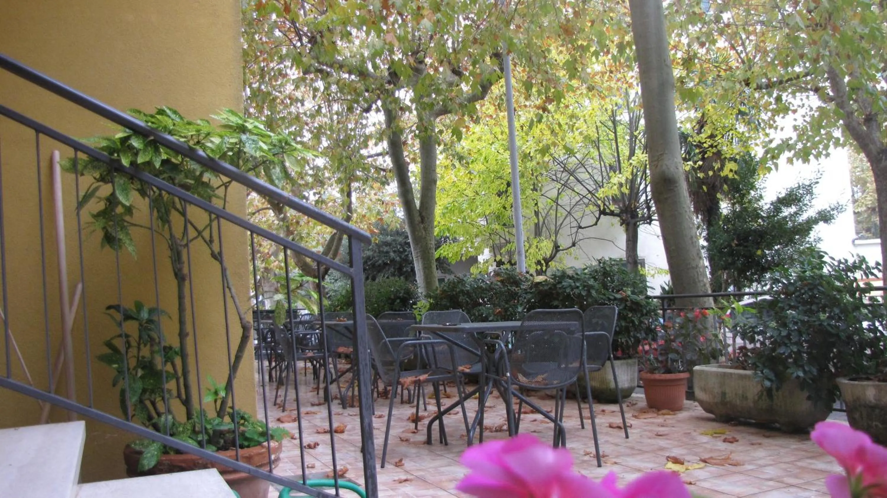 Garden in Albergo La Primula