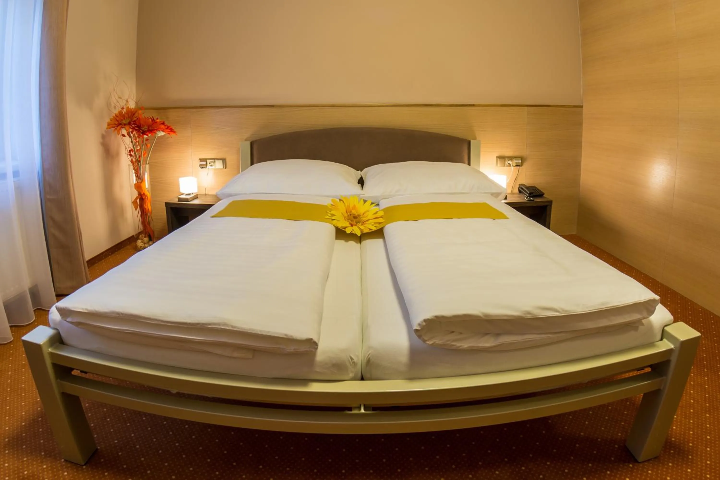 Bed in Hotel Lužnice