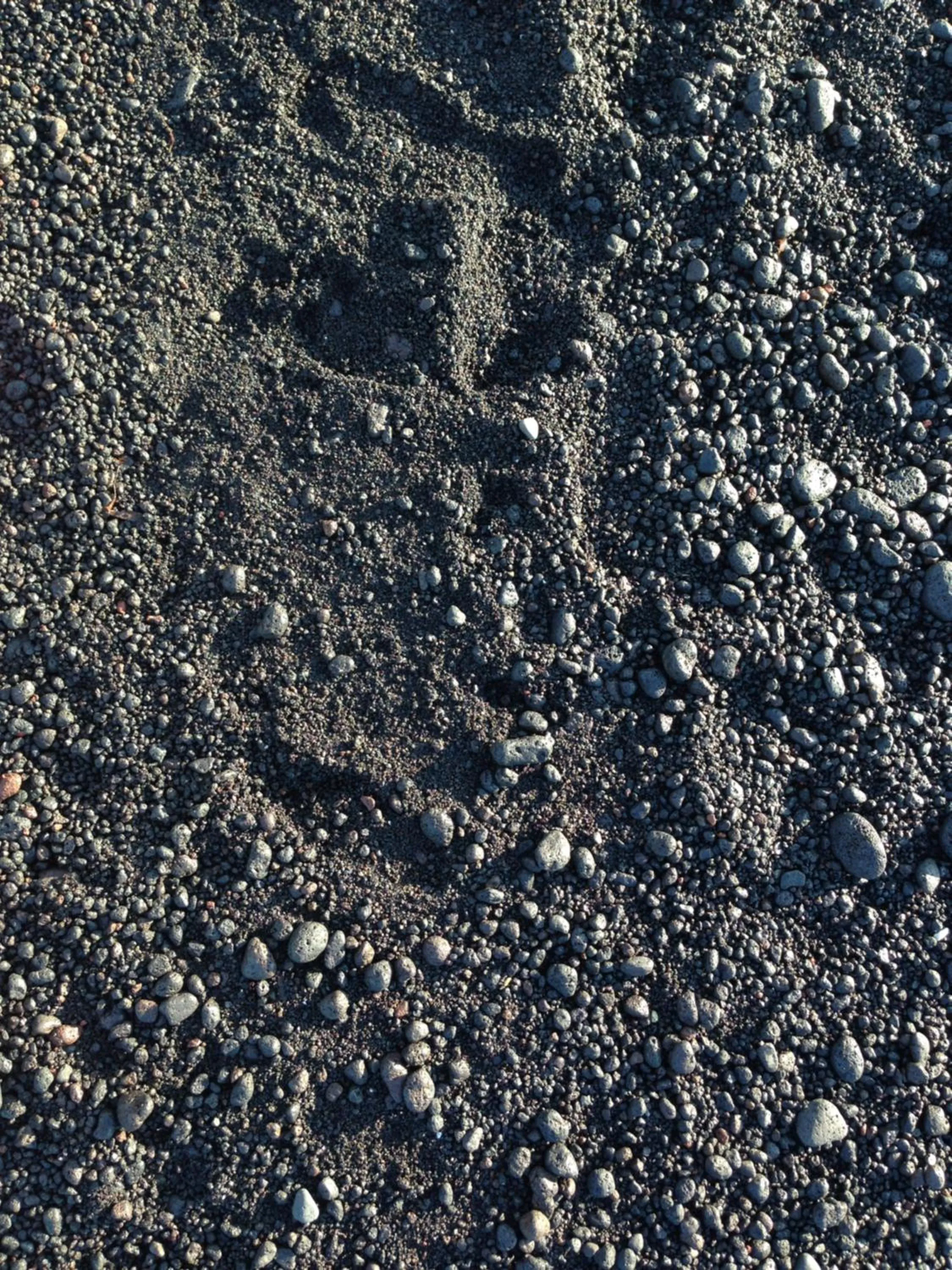 Beach in B&B La Goletta di Salina