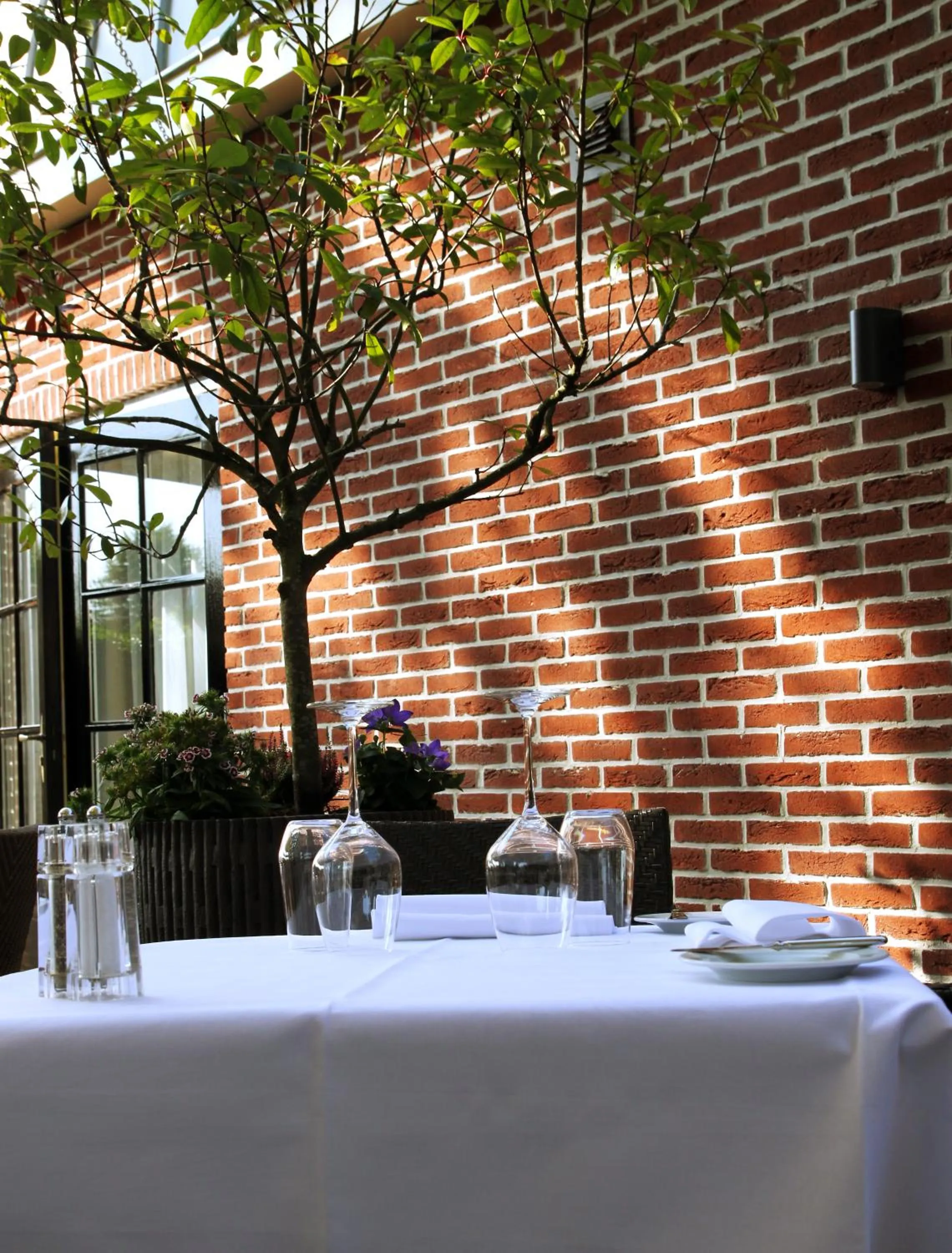 Garden in Suitehotel Posthoorn