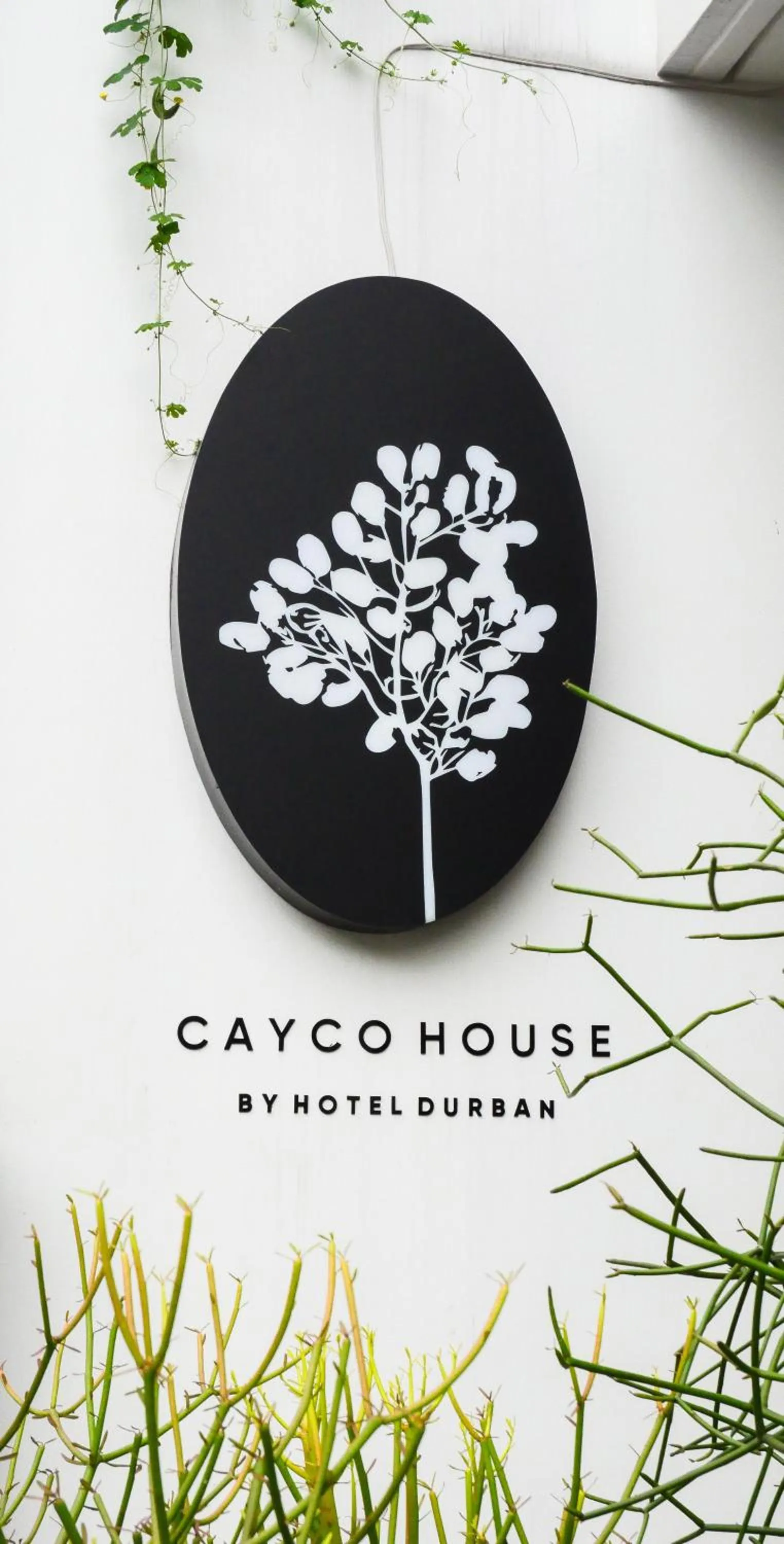 Property building in Cayco House by Hotel Durban