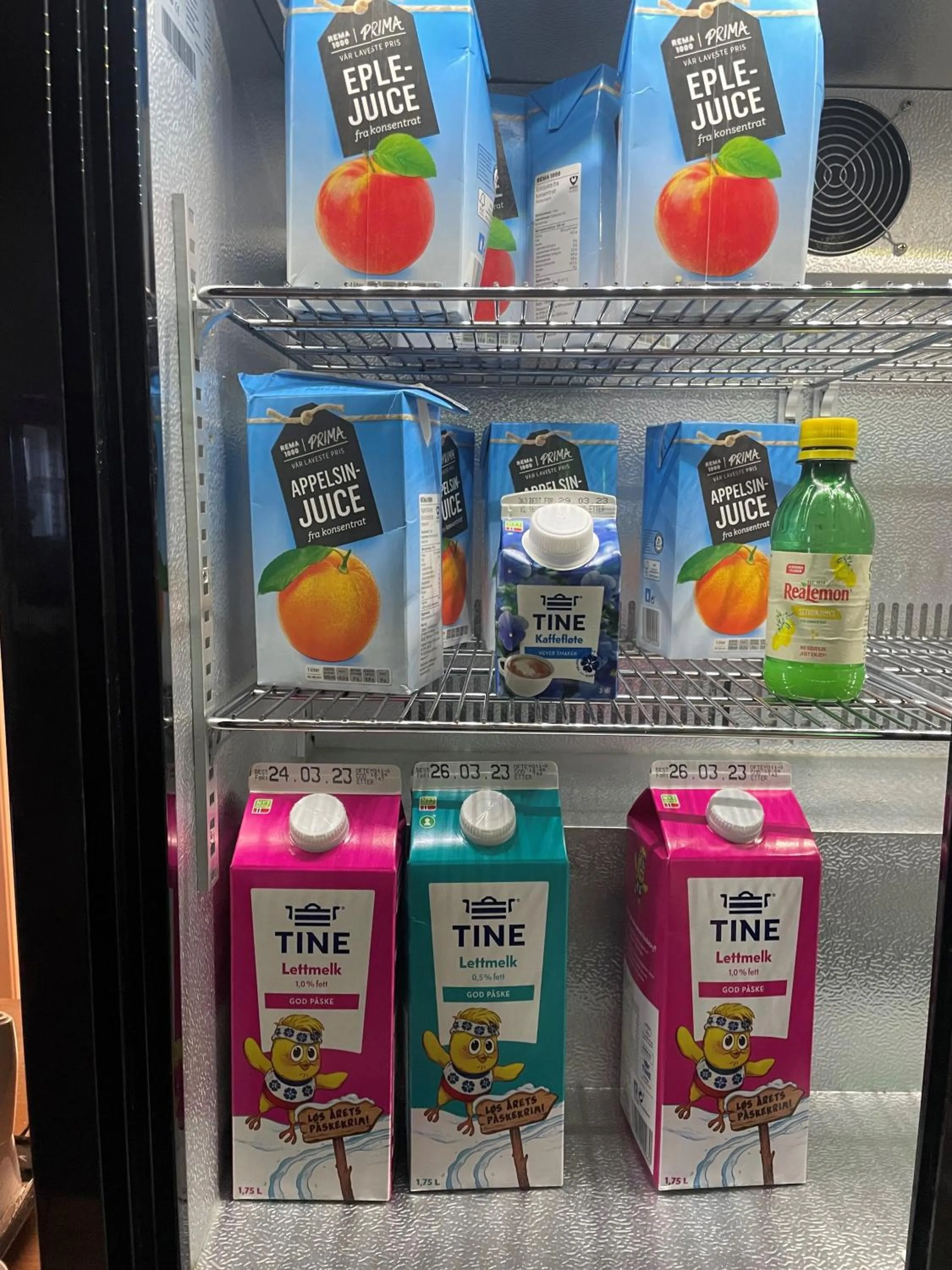 Tynset Rom & Camping