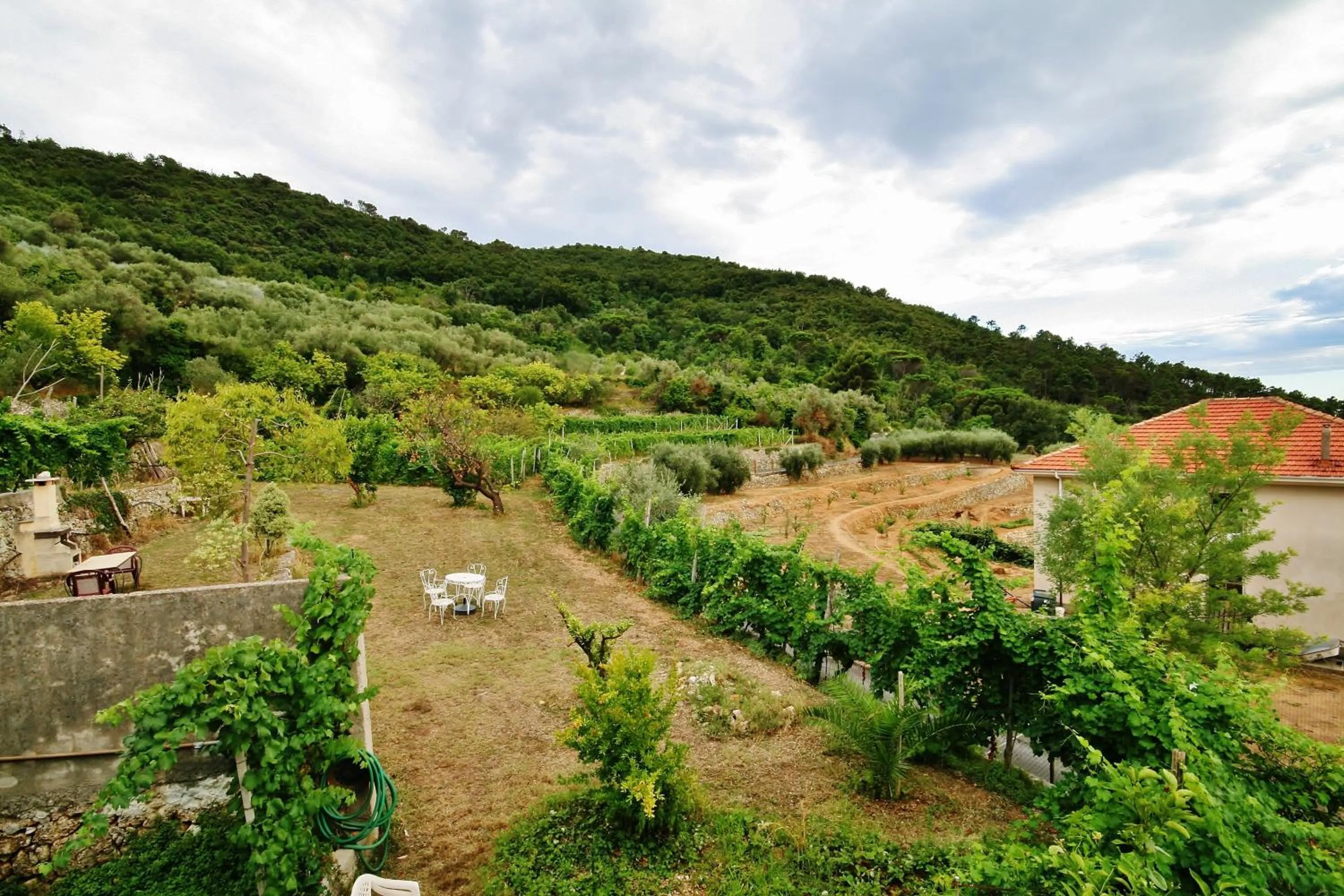 Natural landscape in Agriturismo Barilaro
