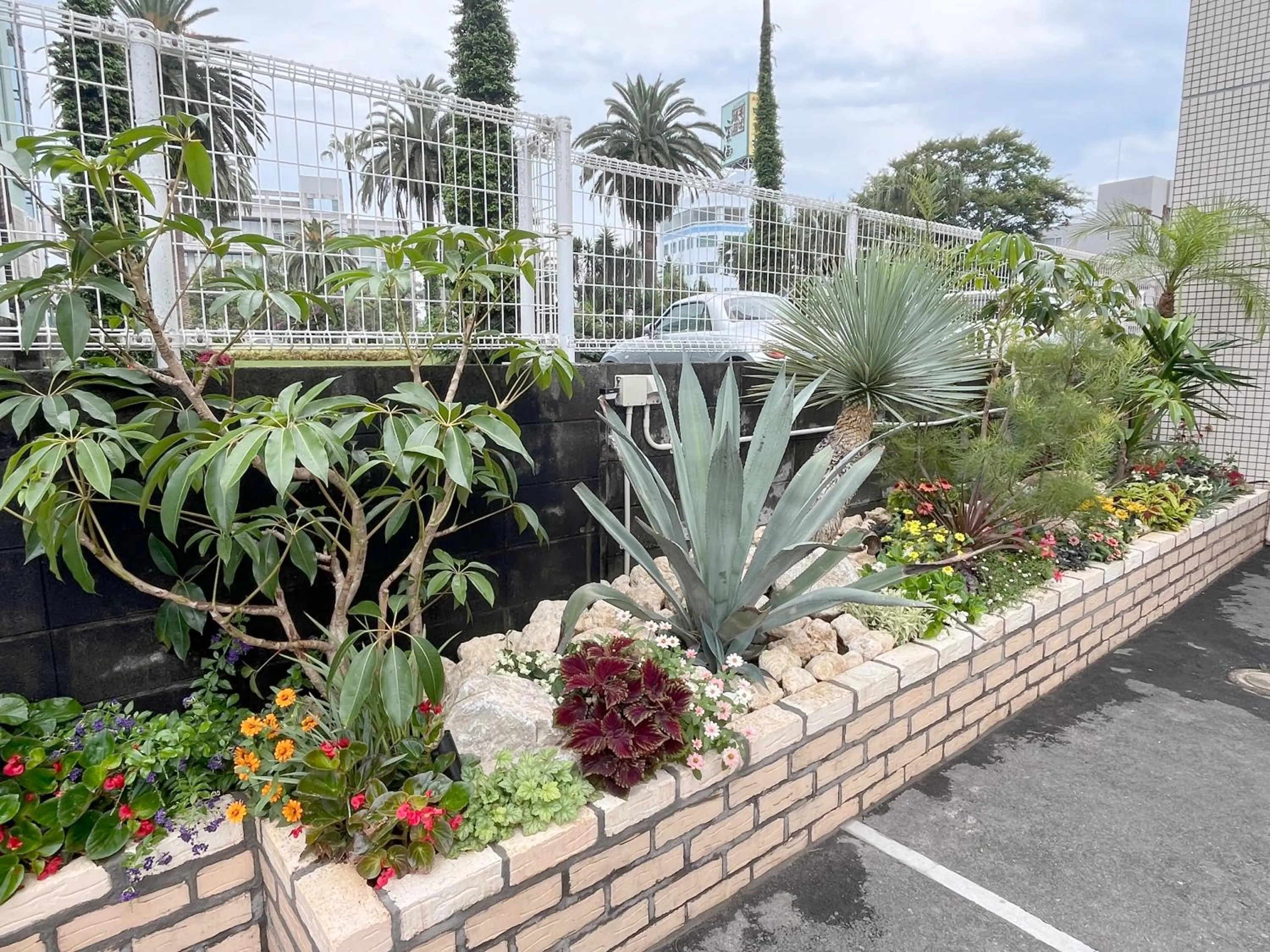 Day in Miyazaki Mango Hotel