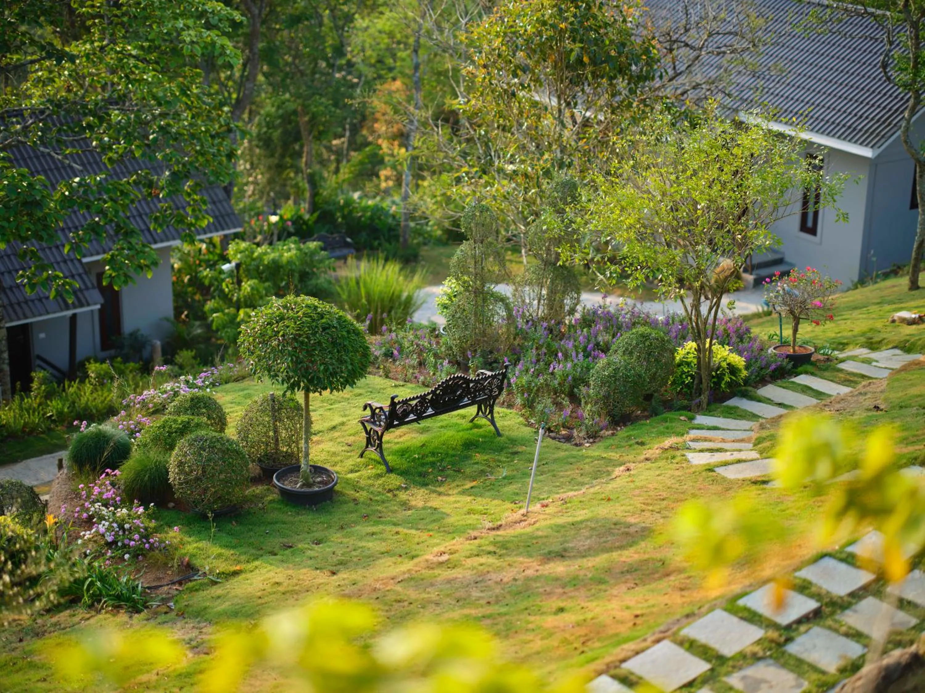 Natural landscape in Blanket Days Resort and Spa