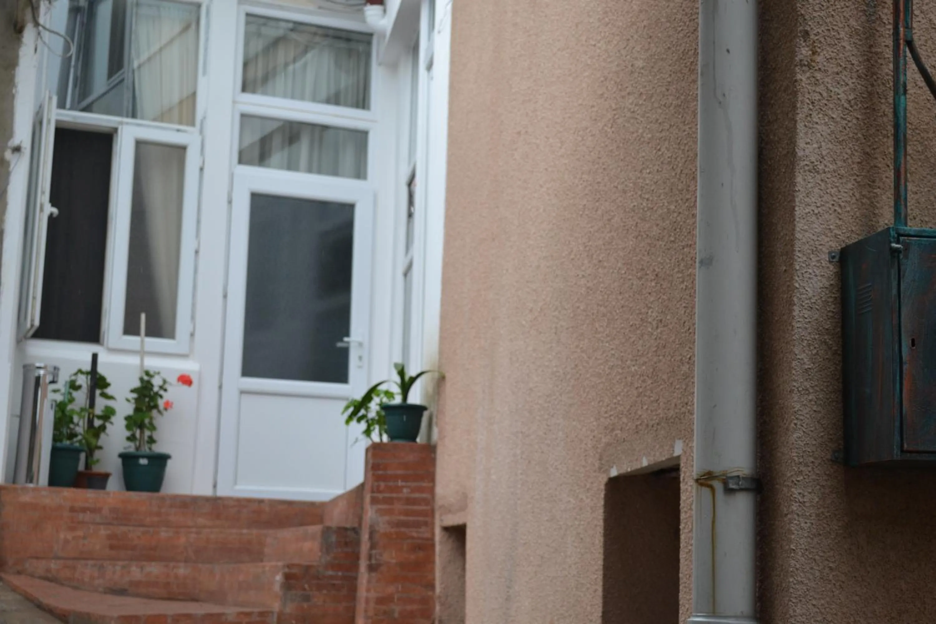 Garden in Your House In Tbilisi